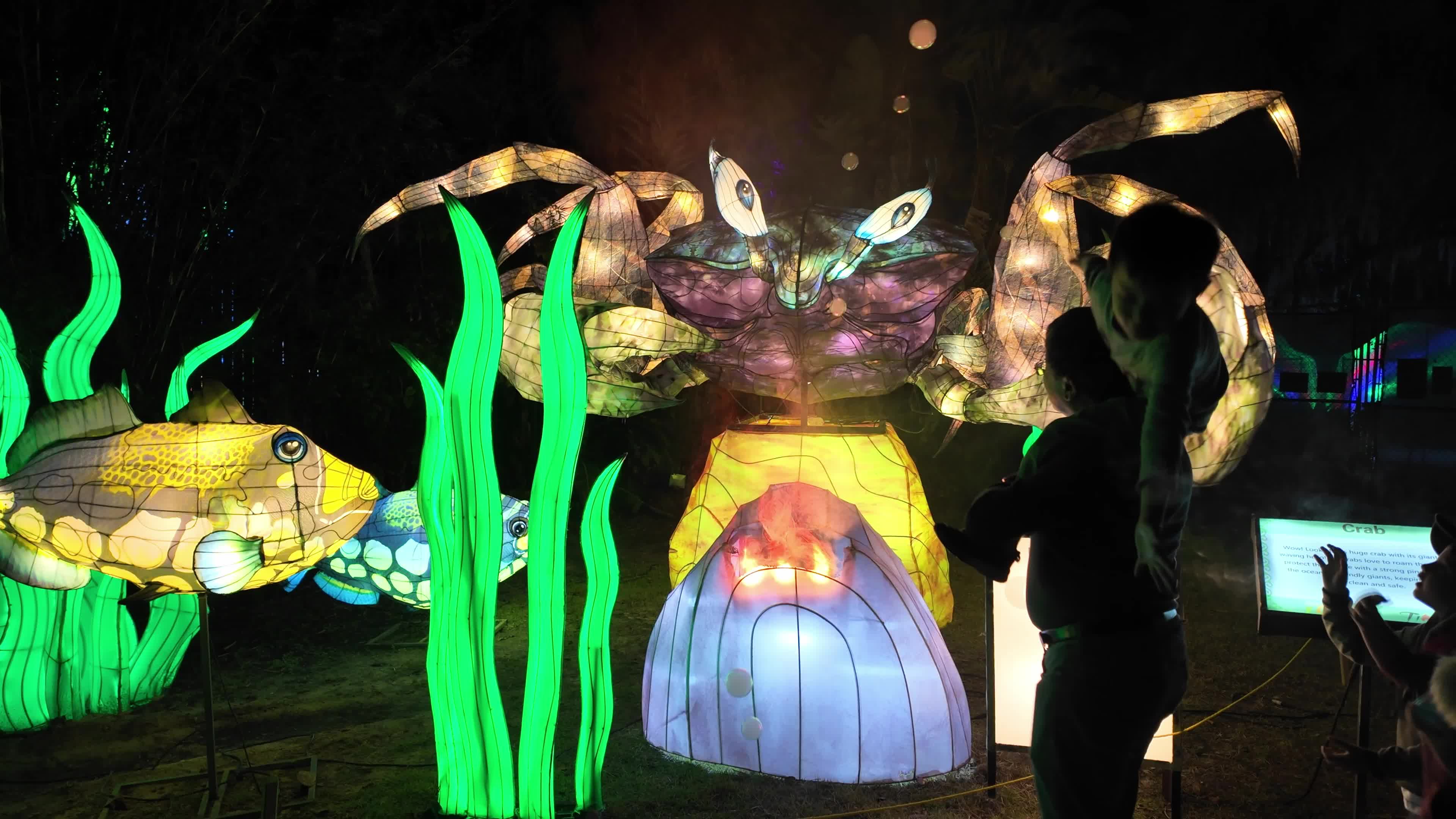 Asian Lantern Festival at Central Florida Zoo