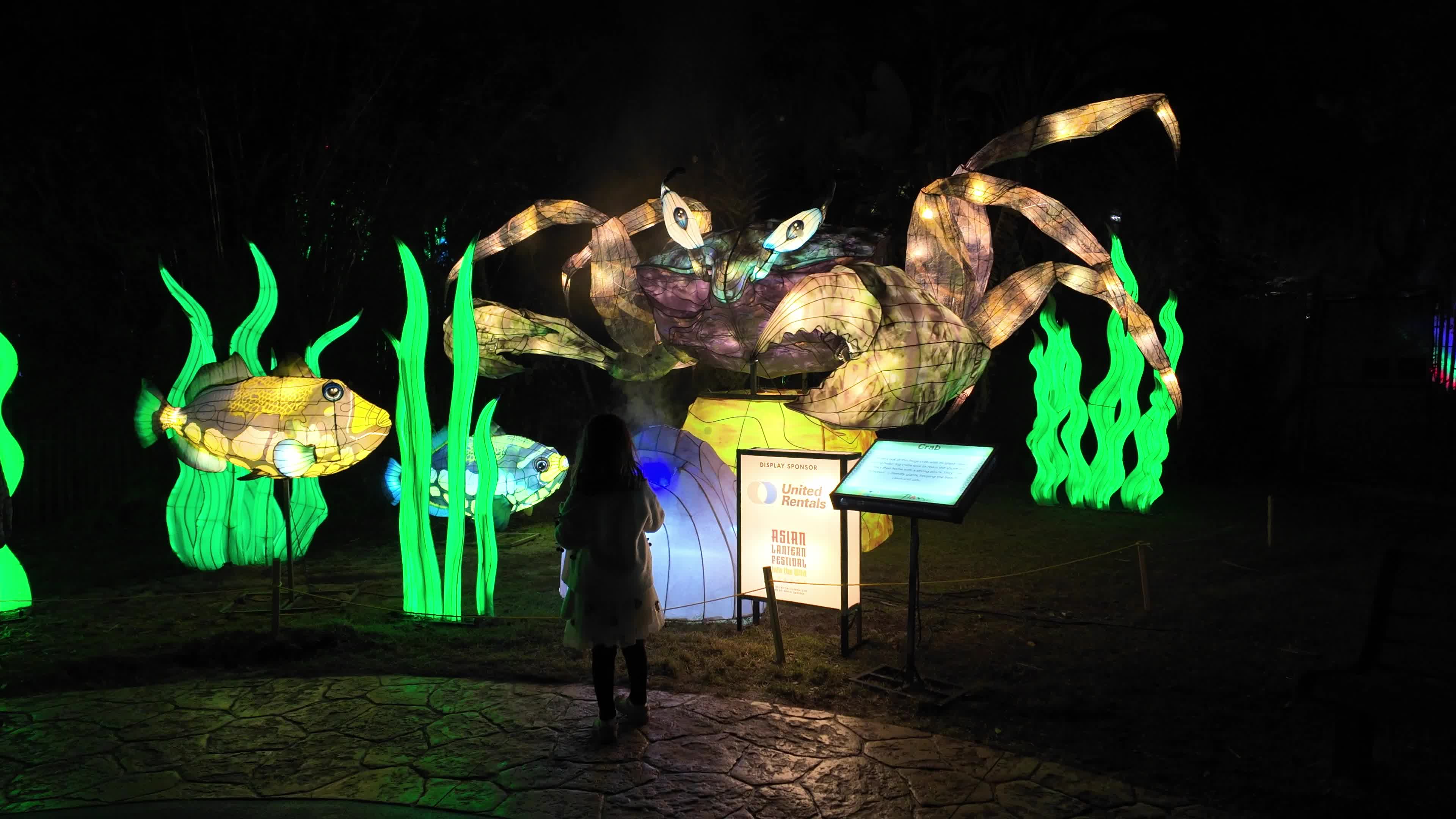 Asian Lantern Festival at Central Florida Zoo
