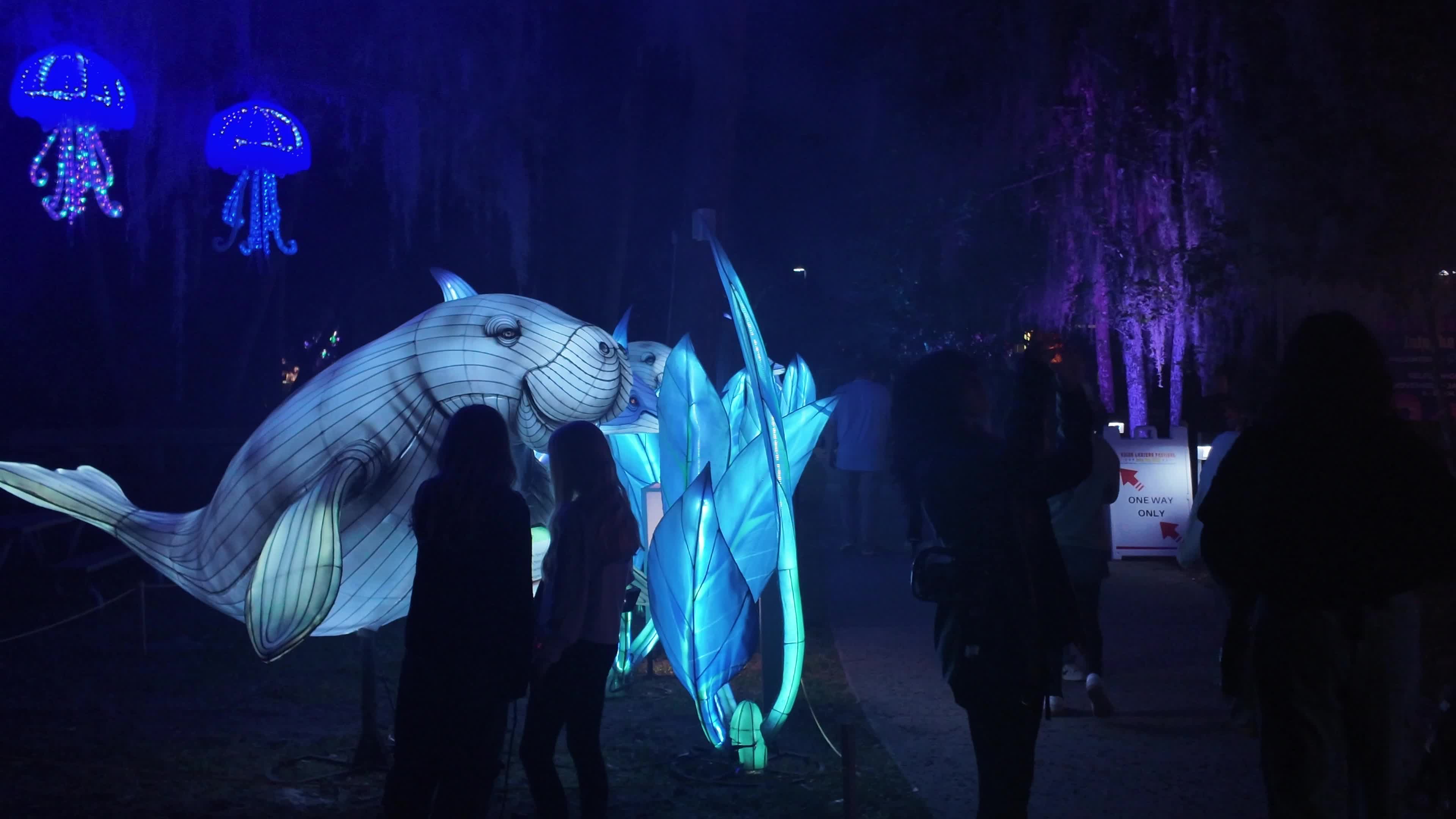 Asian Lantern Festival at Central Florida Zoo