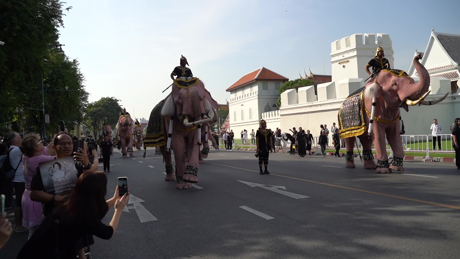 Elephants To Pay Respects Late Queen Mother Sirikit.