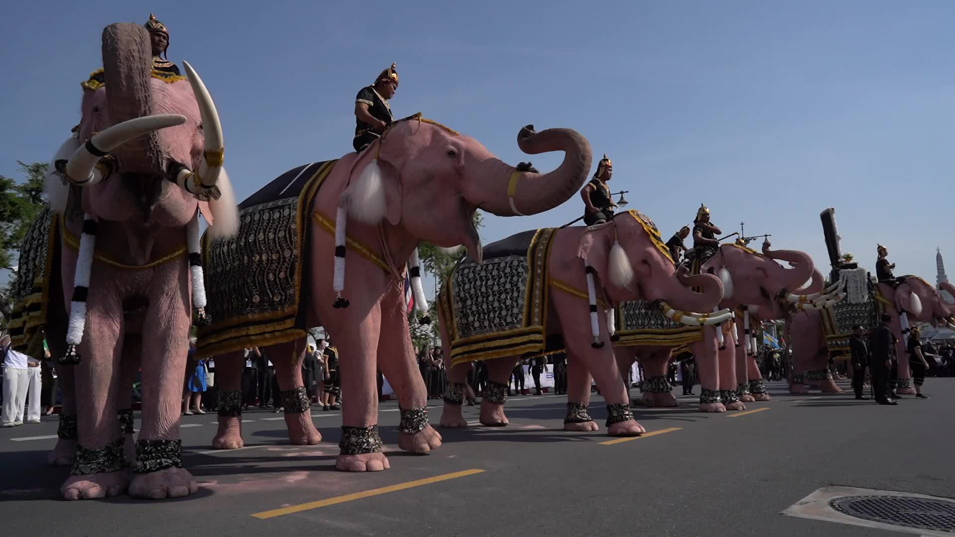 Elephants To Pay Respects Late Queen Mother Sirikit.