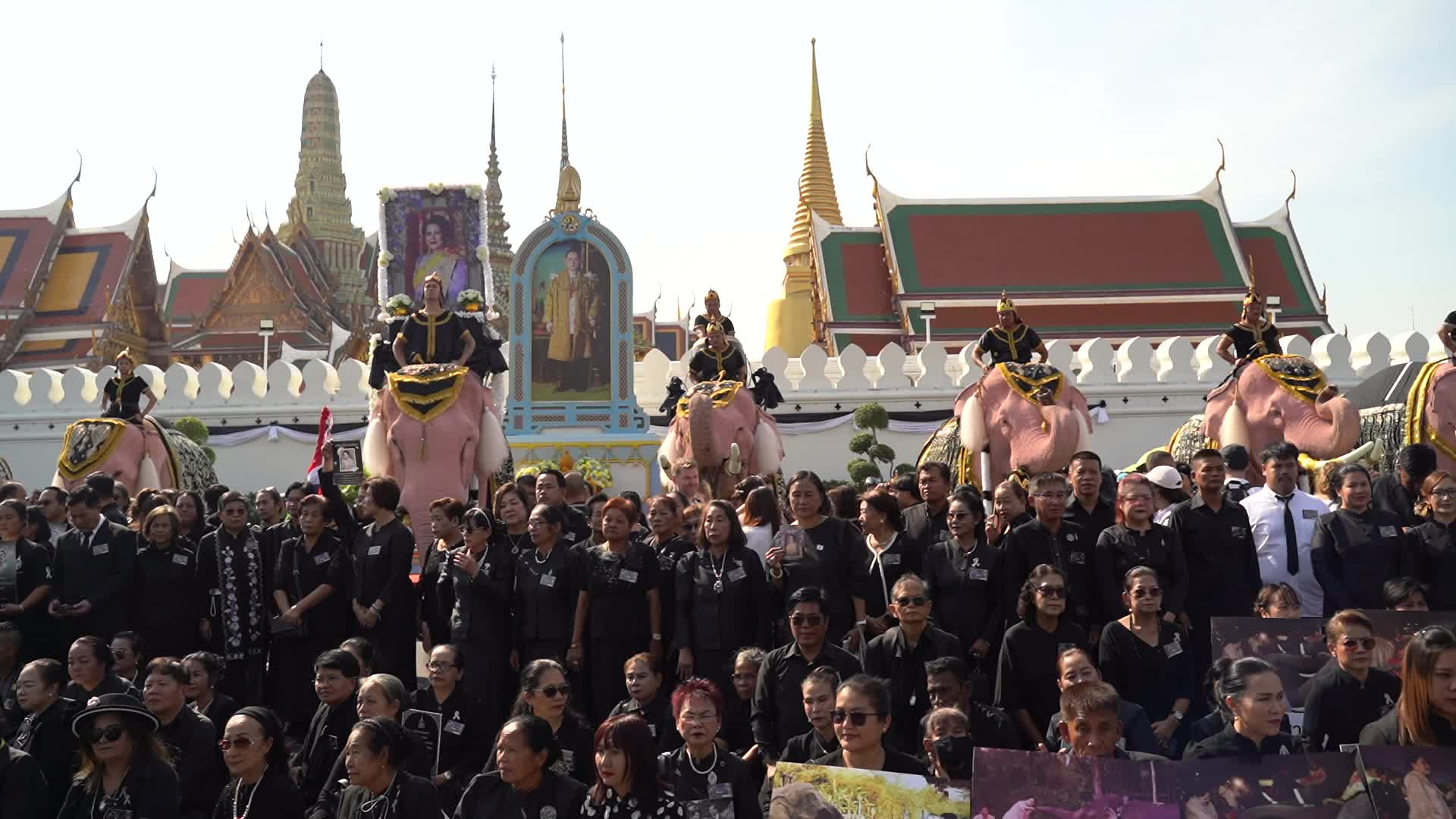 Elephants To Pay Respects Late Queen Mother Sirikit.