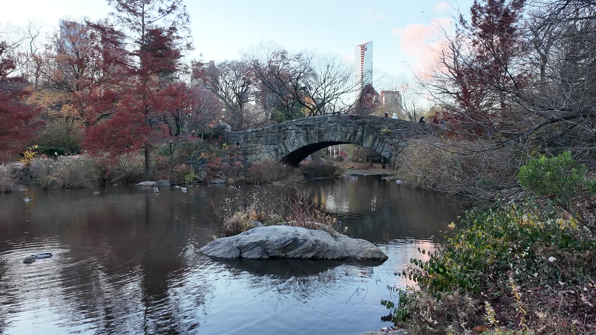 The Gapstow Bridge