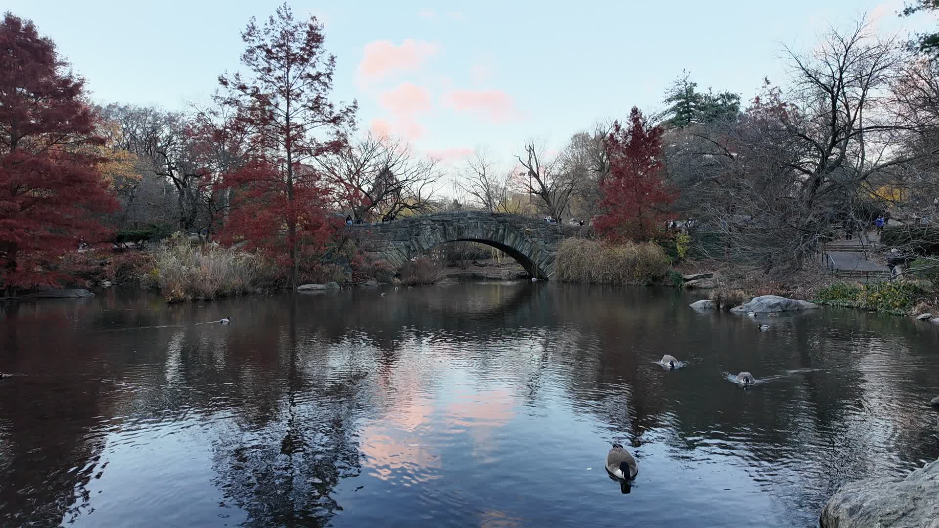The Gapstow Bridge