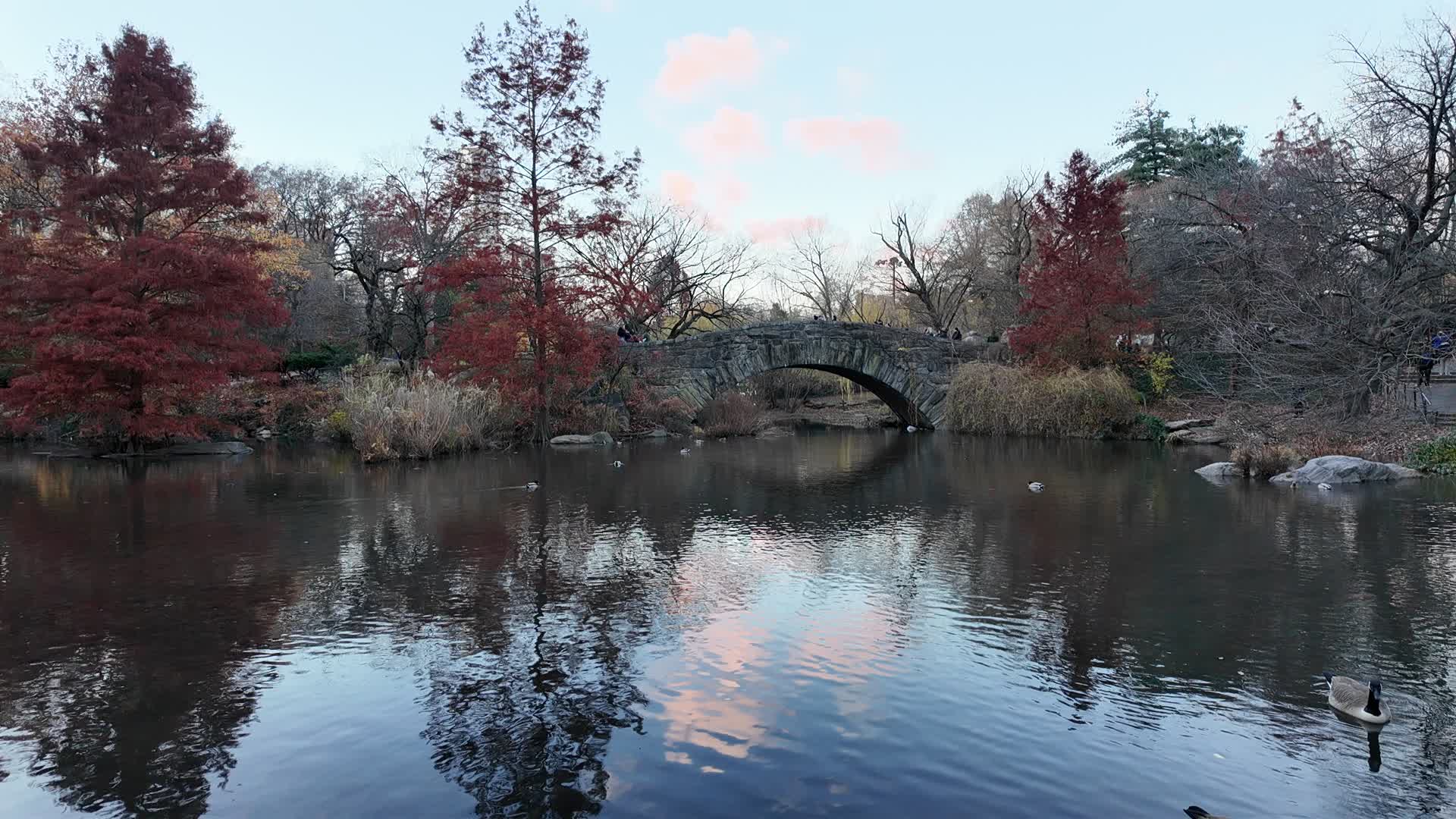 The Gapstow Bridge