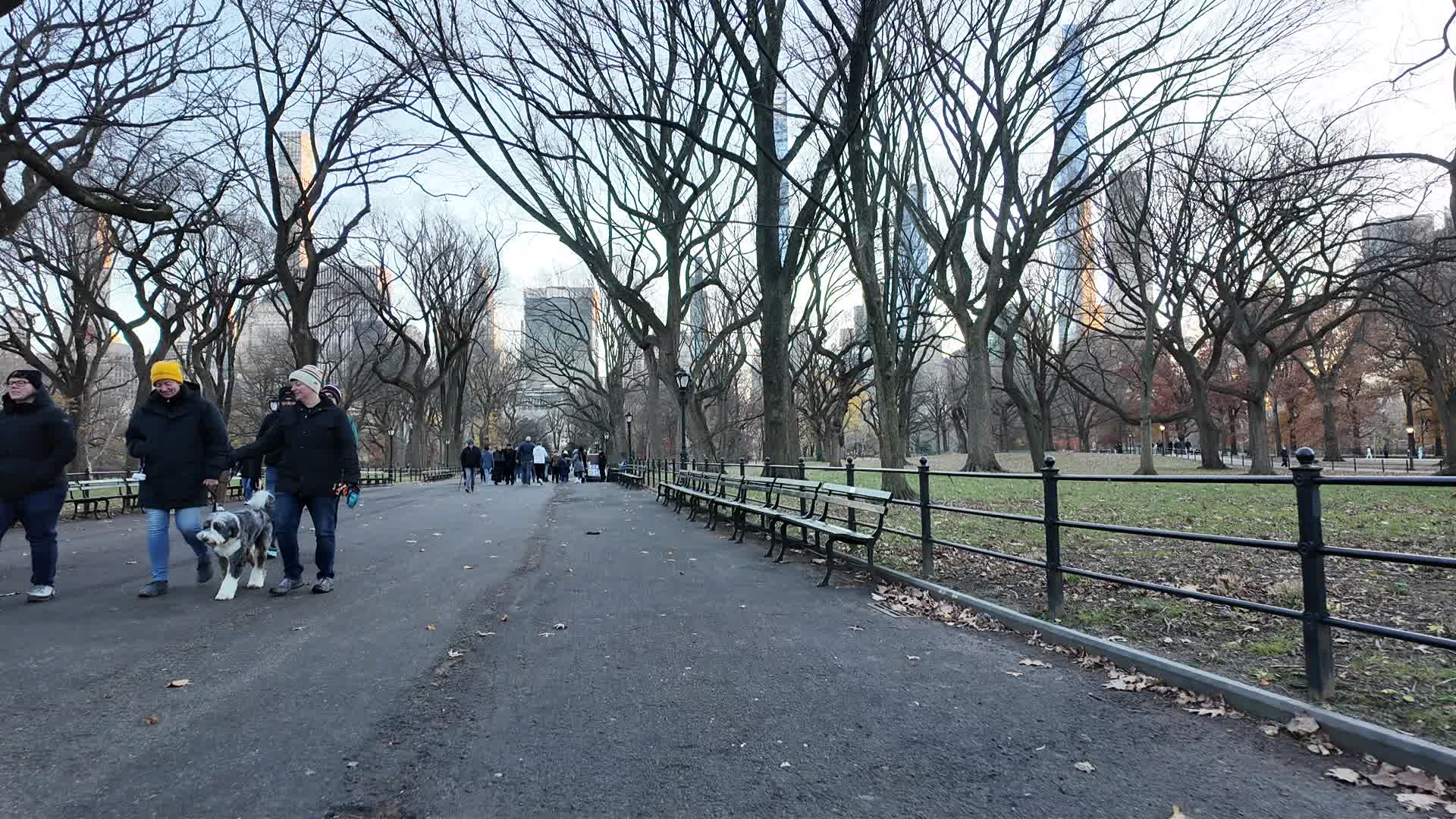 New York Central Park