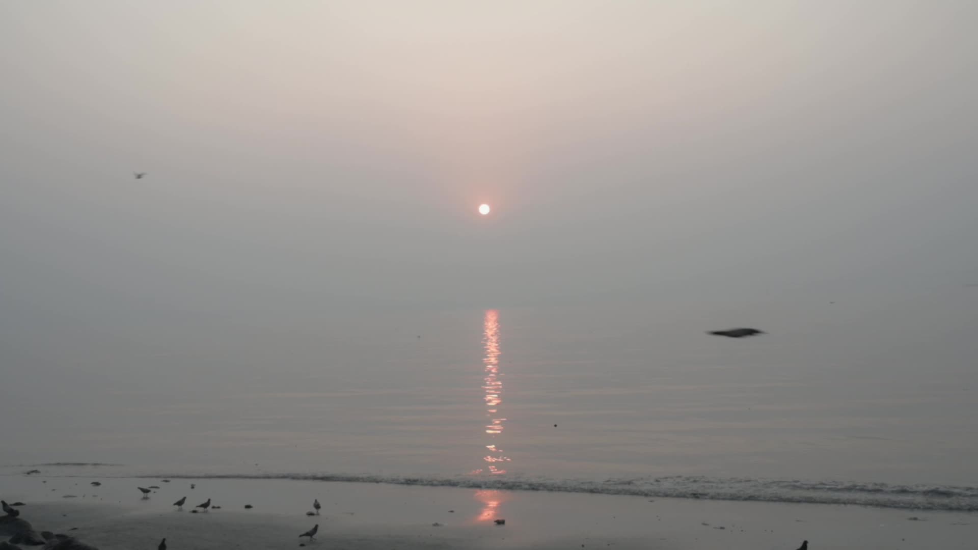 Smog Engulfs The City Of Mumbai 