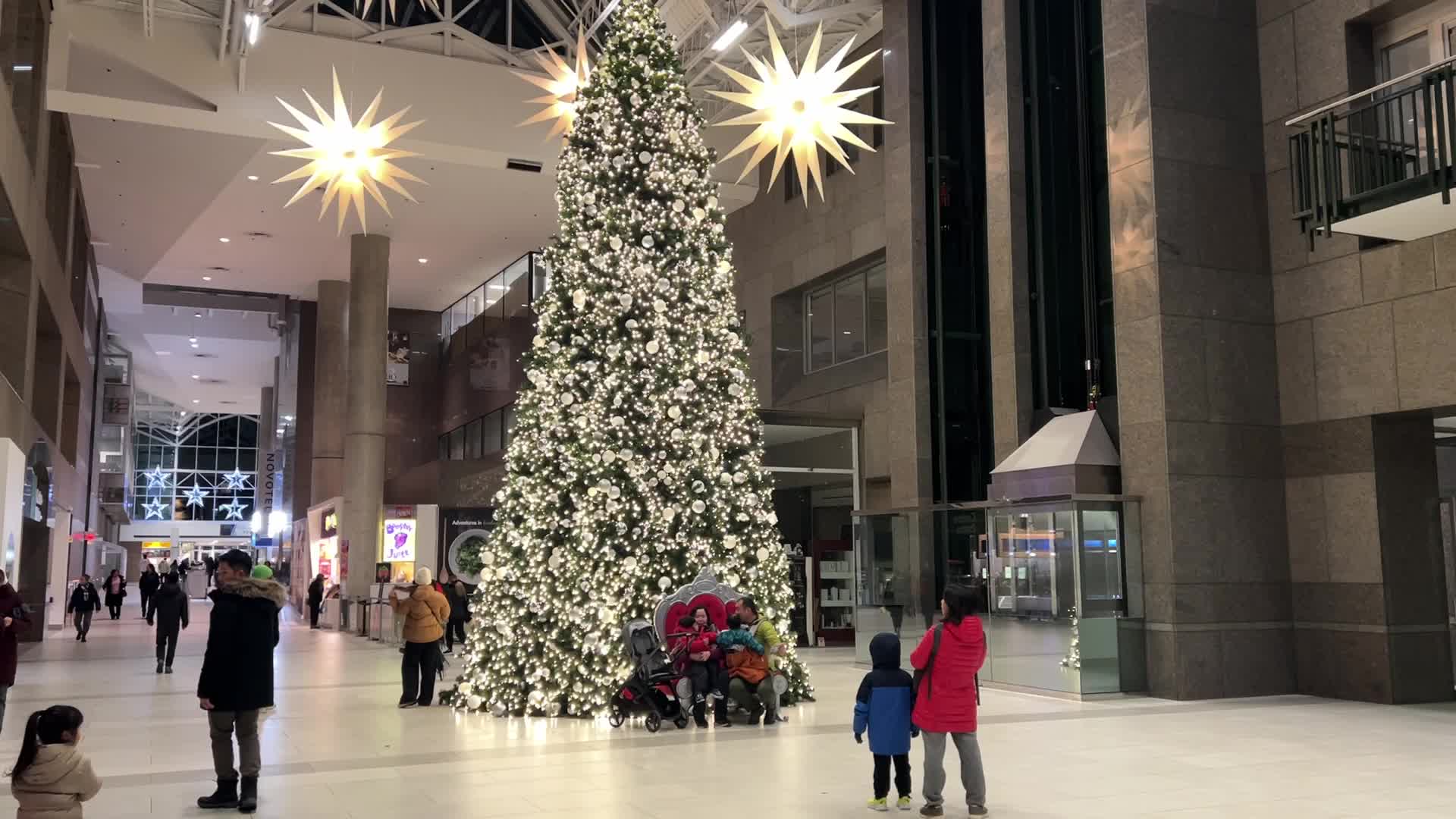 Christmas tree in Toronto, Canada