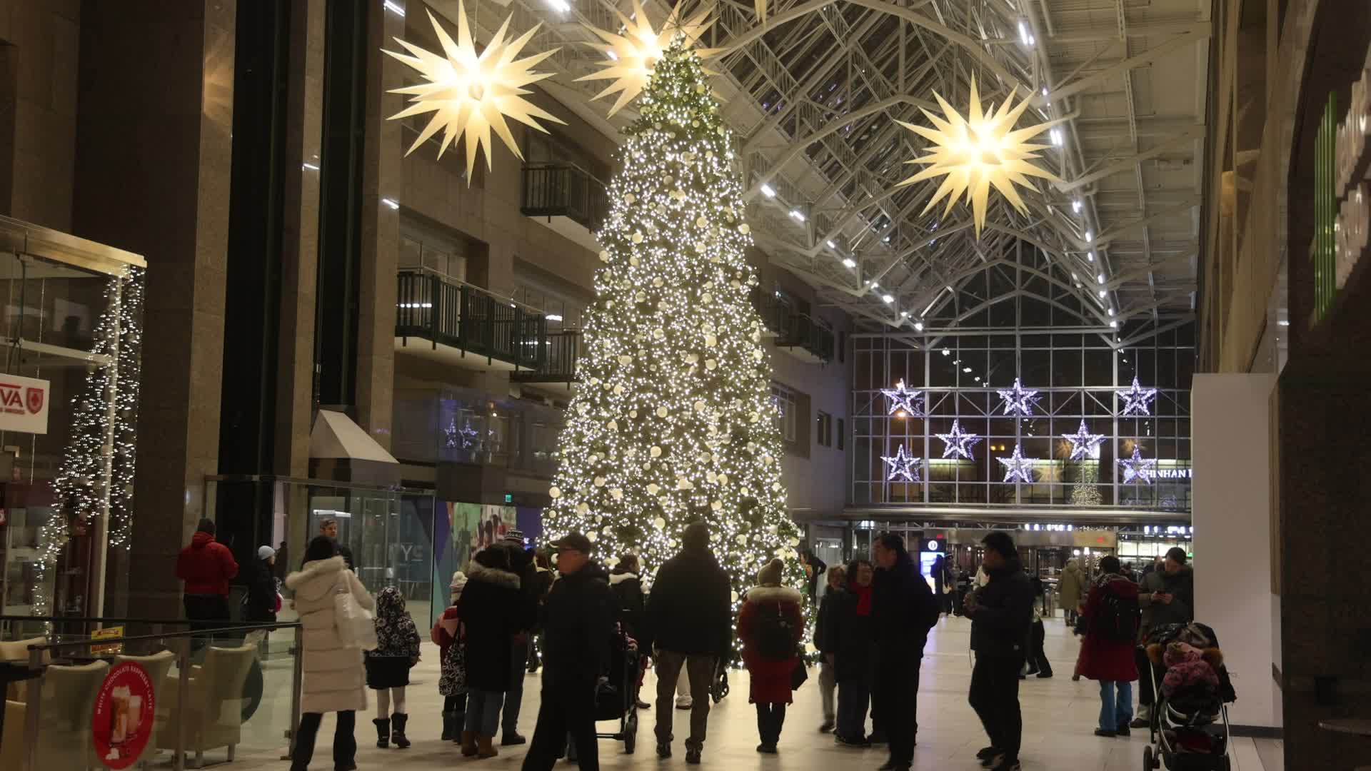 Christmas tree in Toronto, Canada