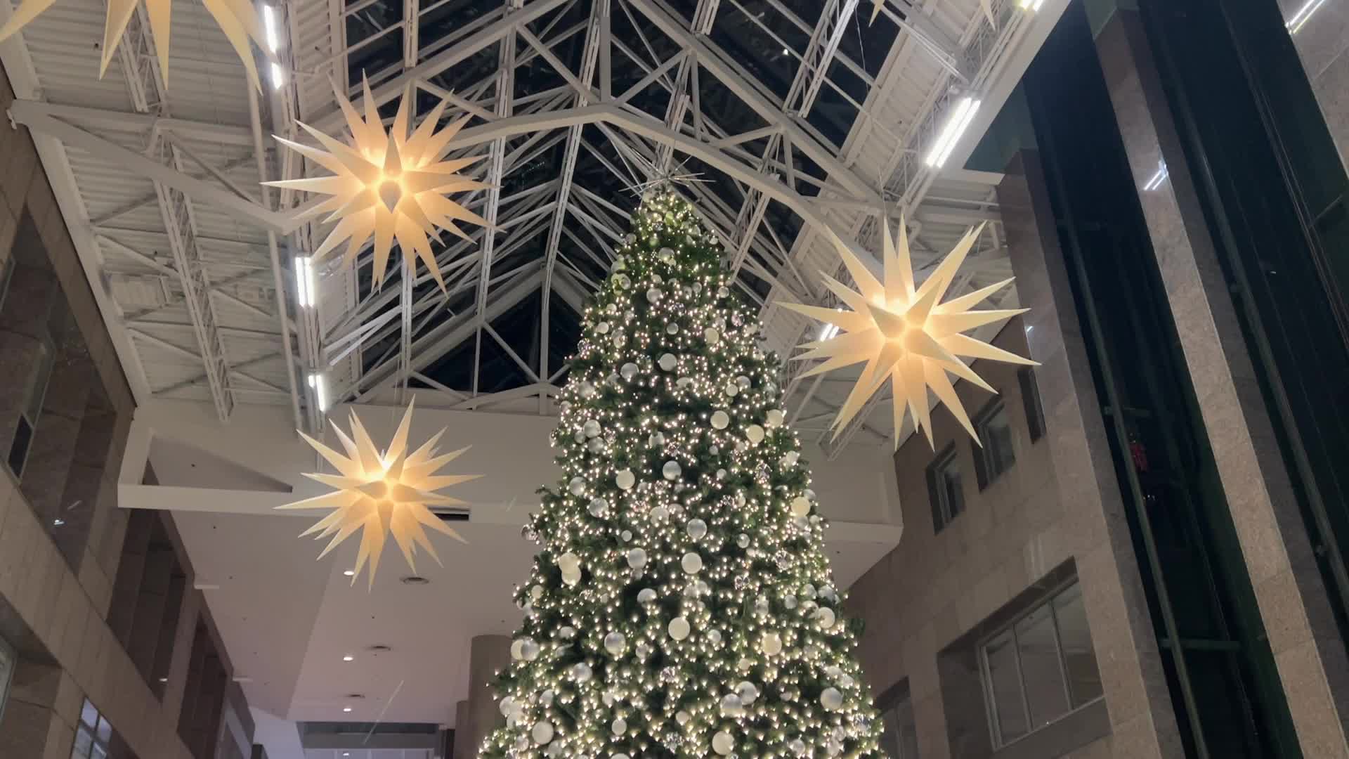 Christmas tree in Toronto, Canada