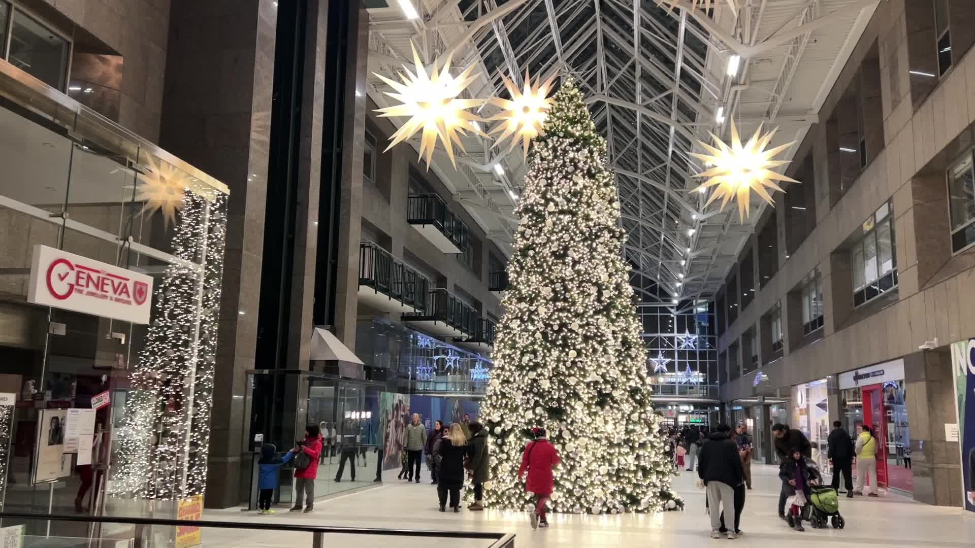 Christmas tree in Toronto, Canada