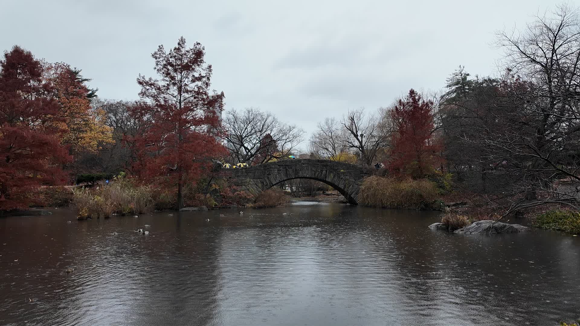 Central Park
