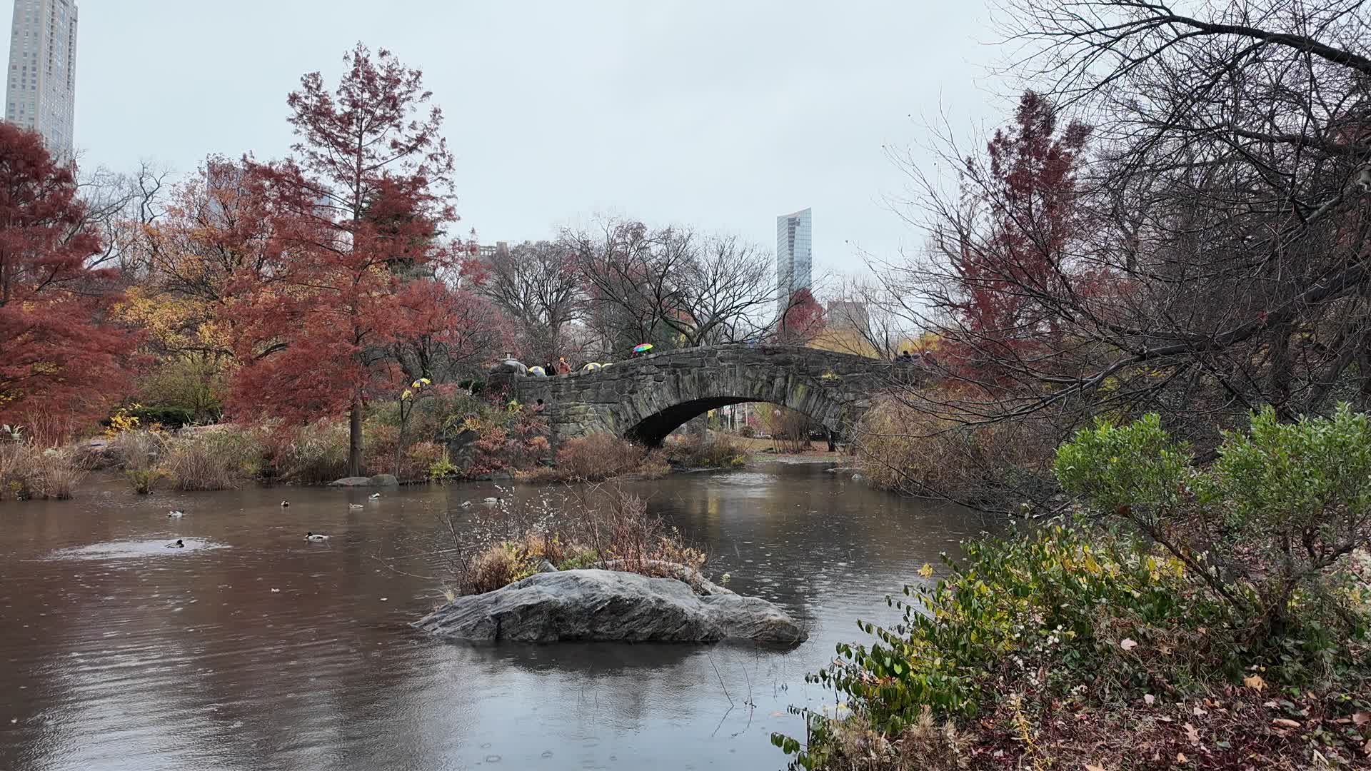 Central Park