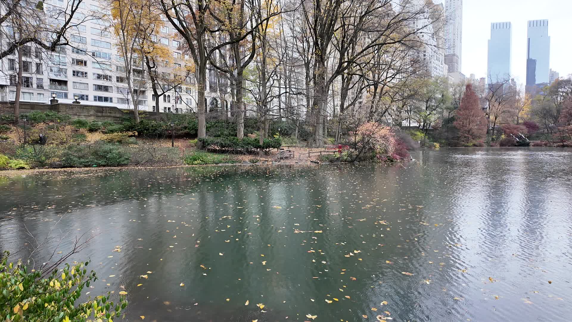 Central Park