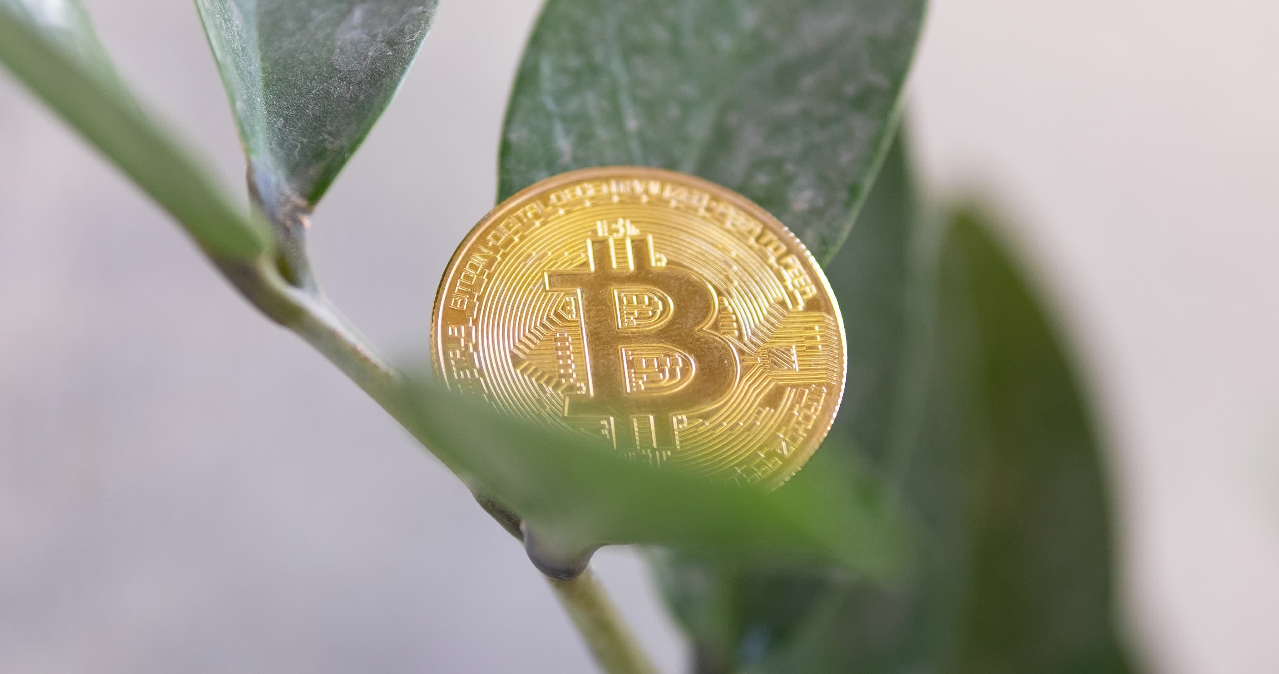 Bitcoin