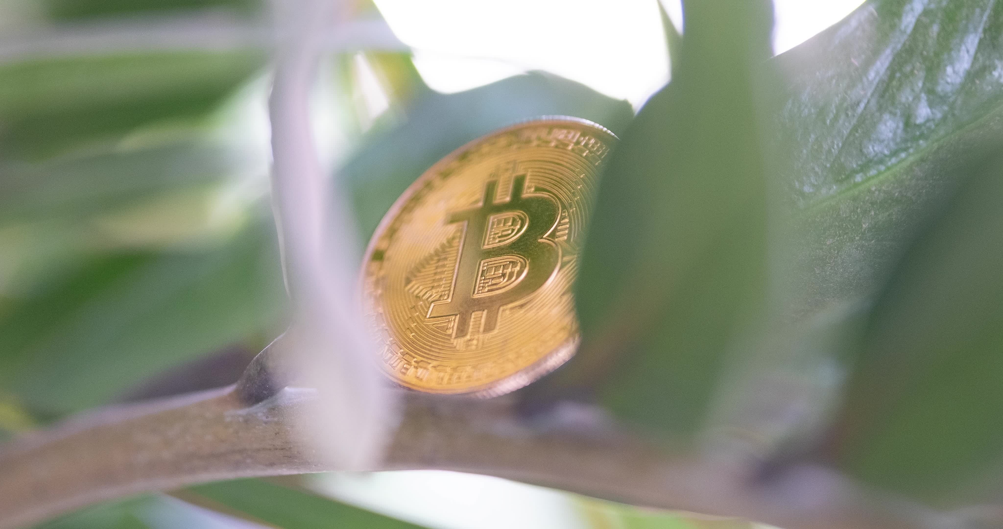 Bitcoin