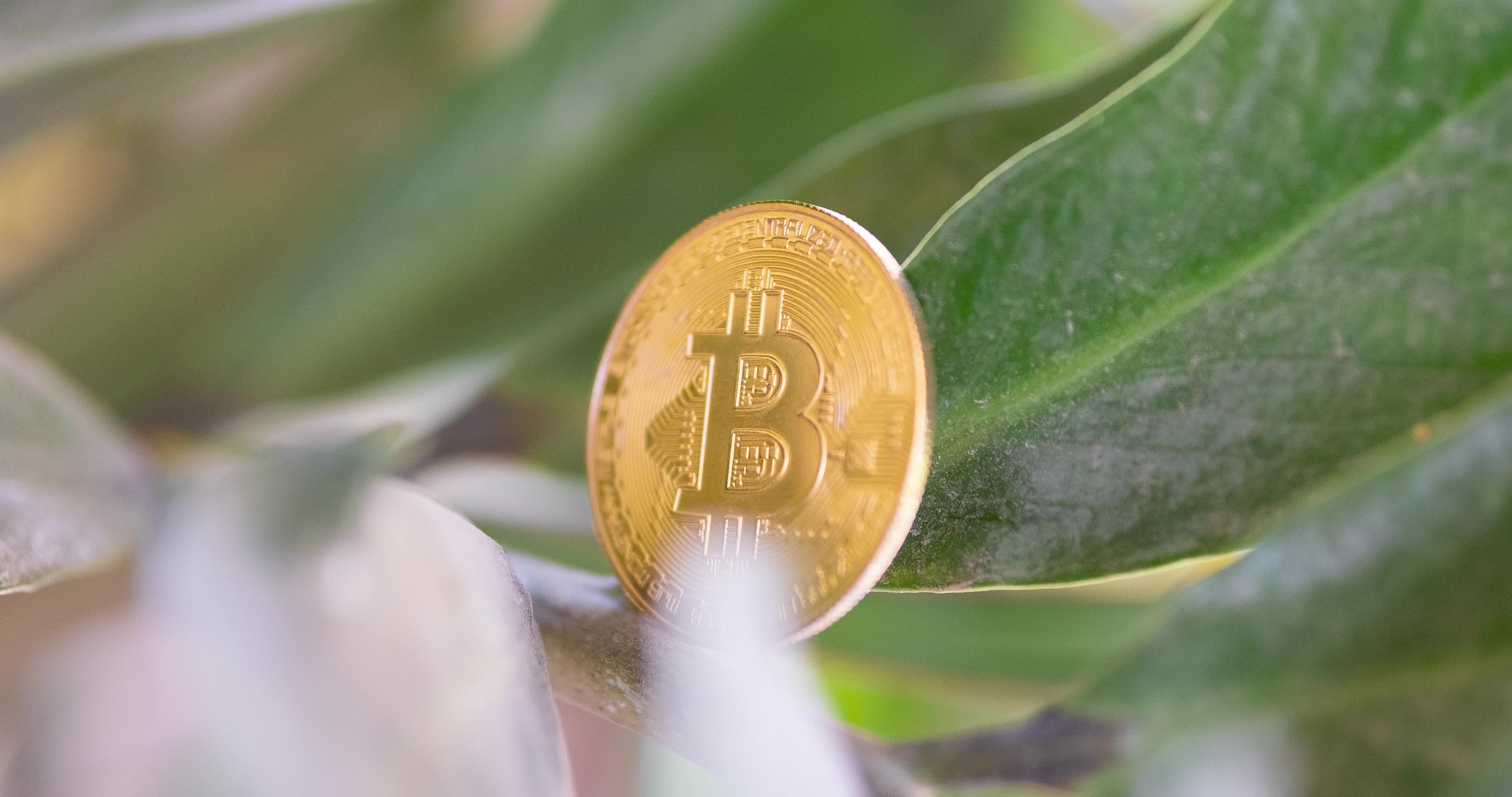 Bitcoin