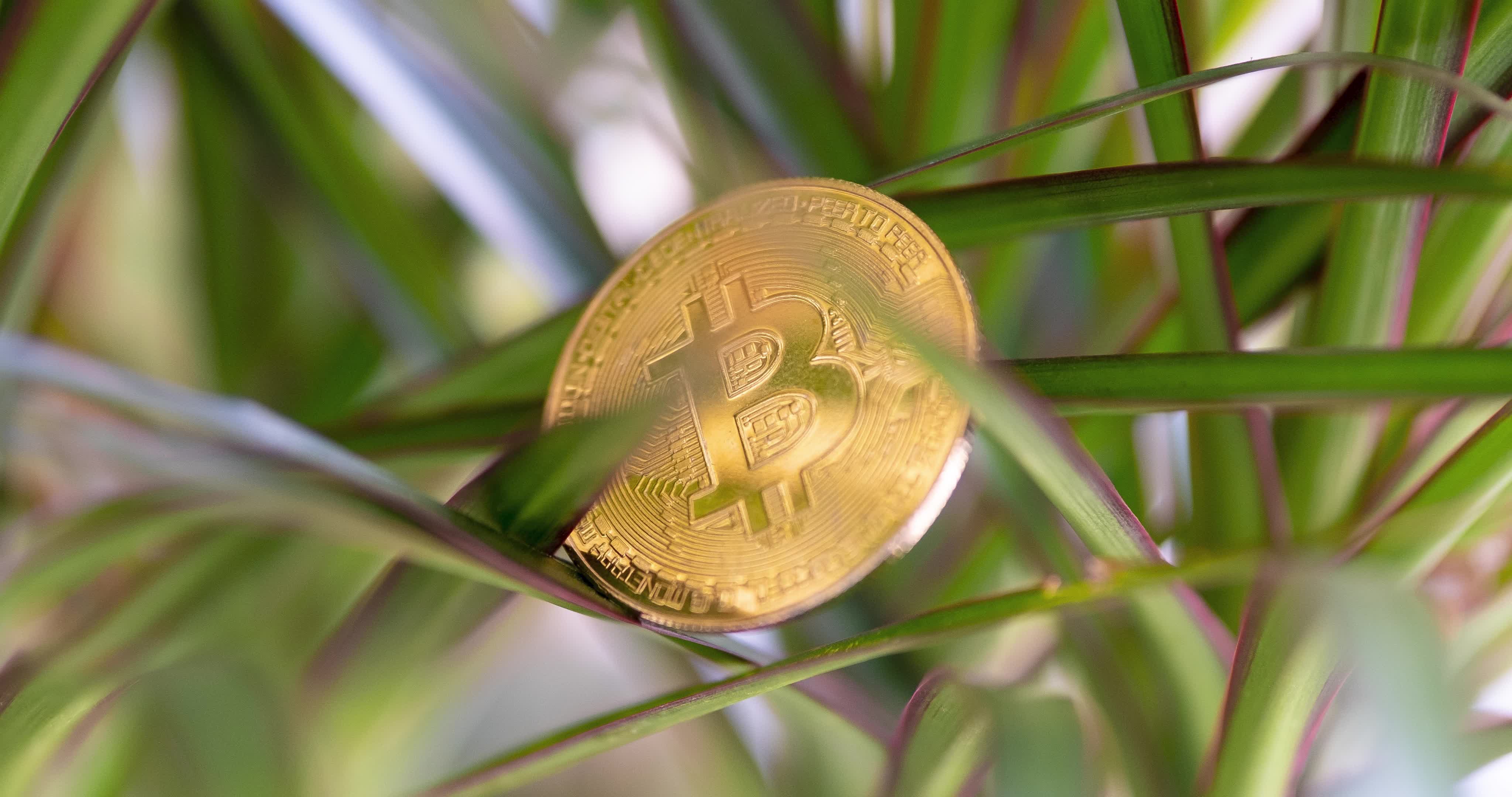 Bitcoin
