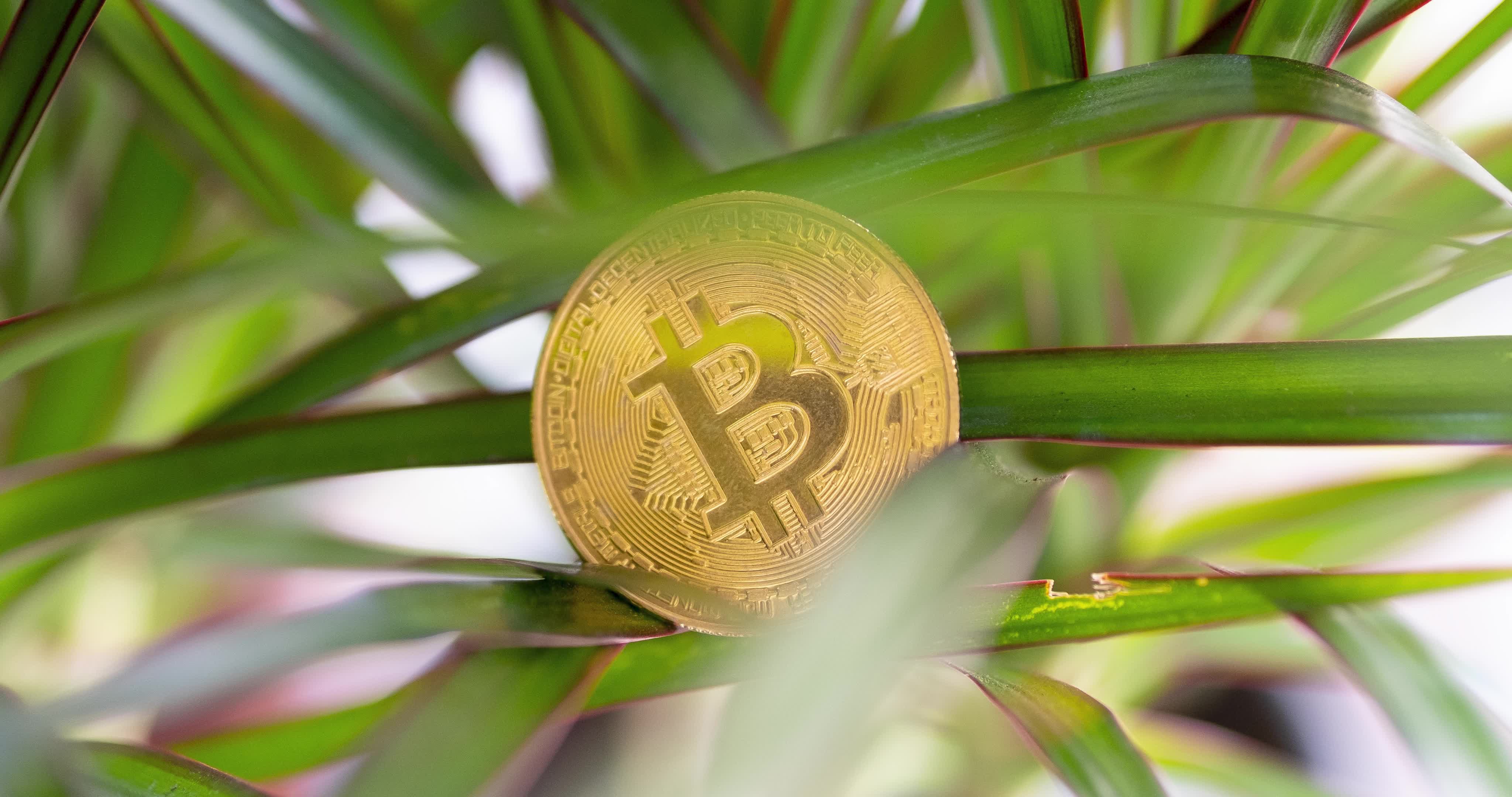 Bitcoin