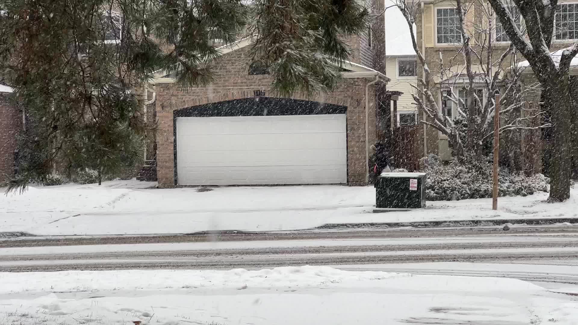 Snowfall in Toronto, Canada