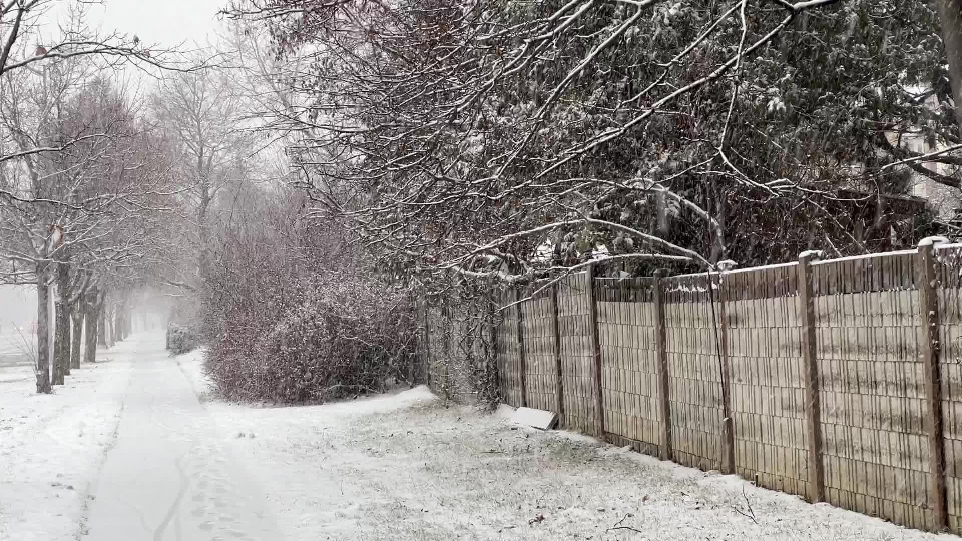 Snowfall in Toronto, Canada