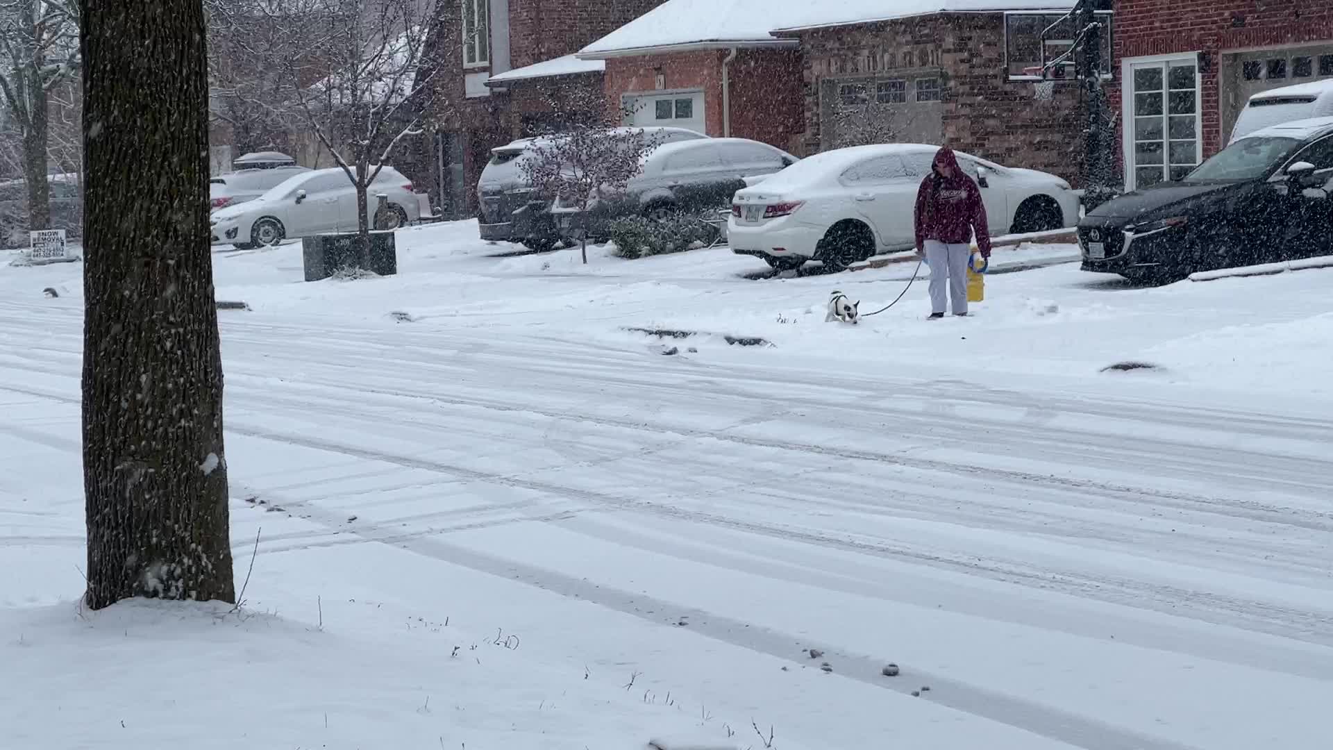Snowfall in Toronto, Canada