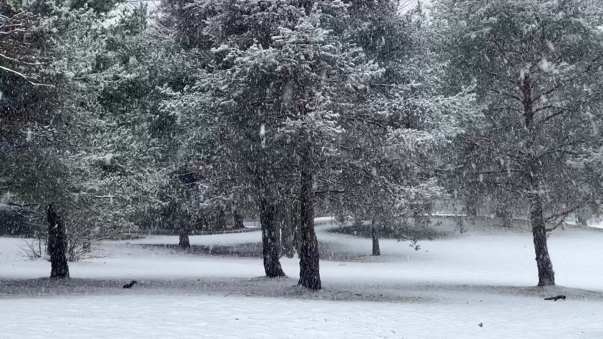Snowfall in Toronto, Canada