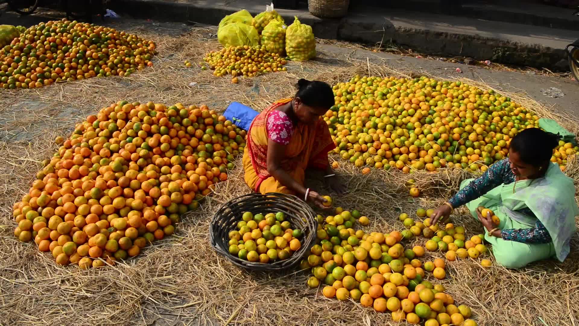 India Oranges at Siliguri Regulated Market 