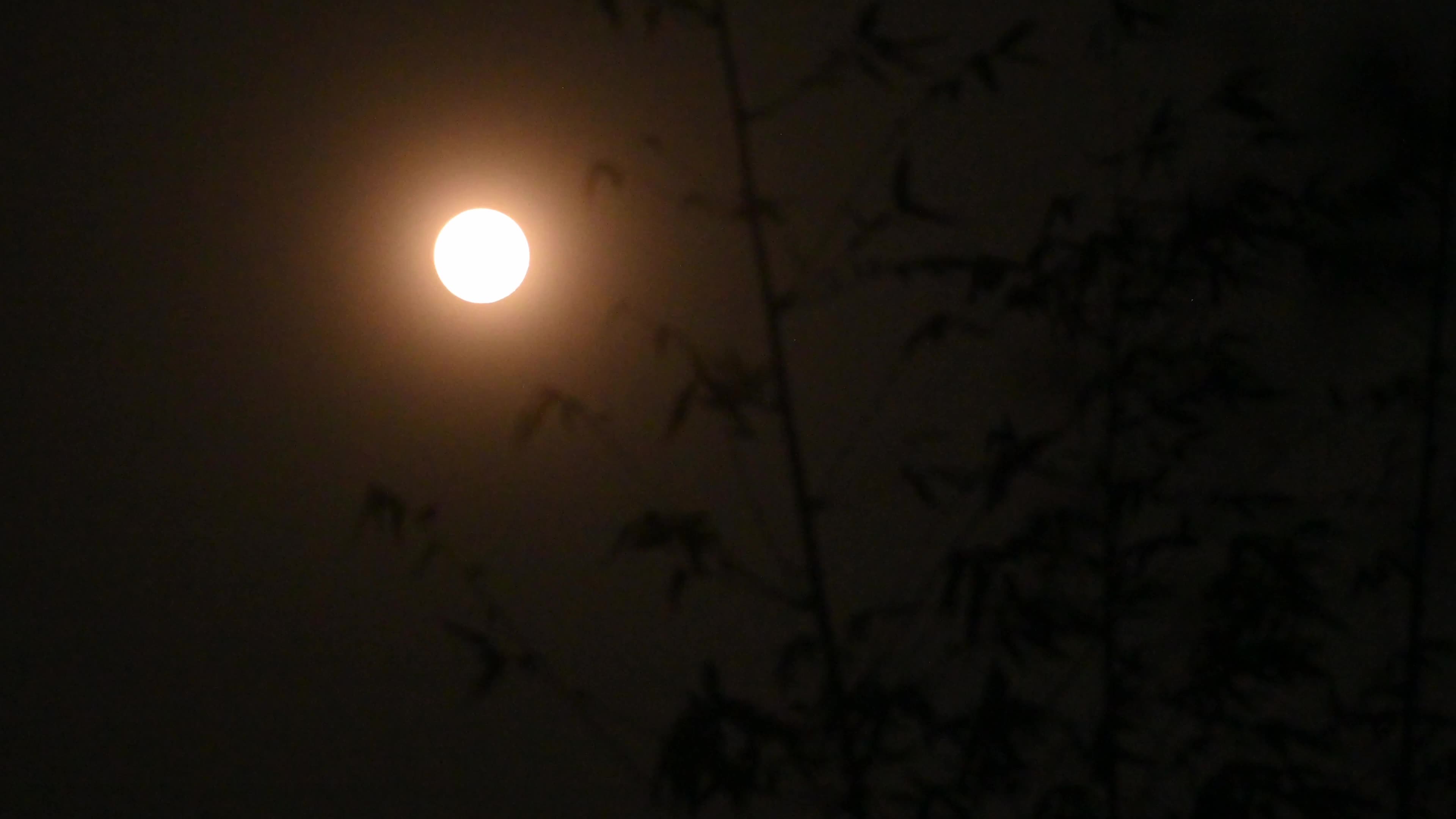 The Final Supermoon Of 2025 - Cold Moon - Lunar event 