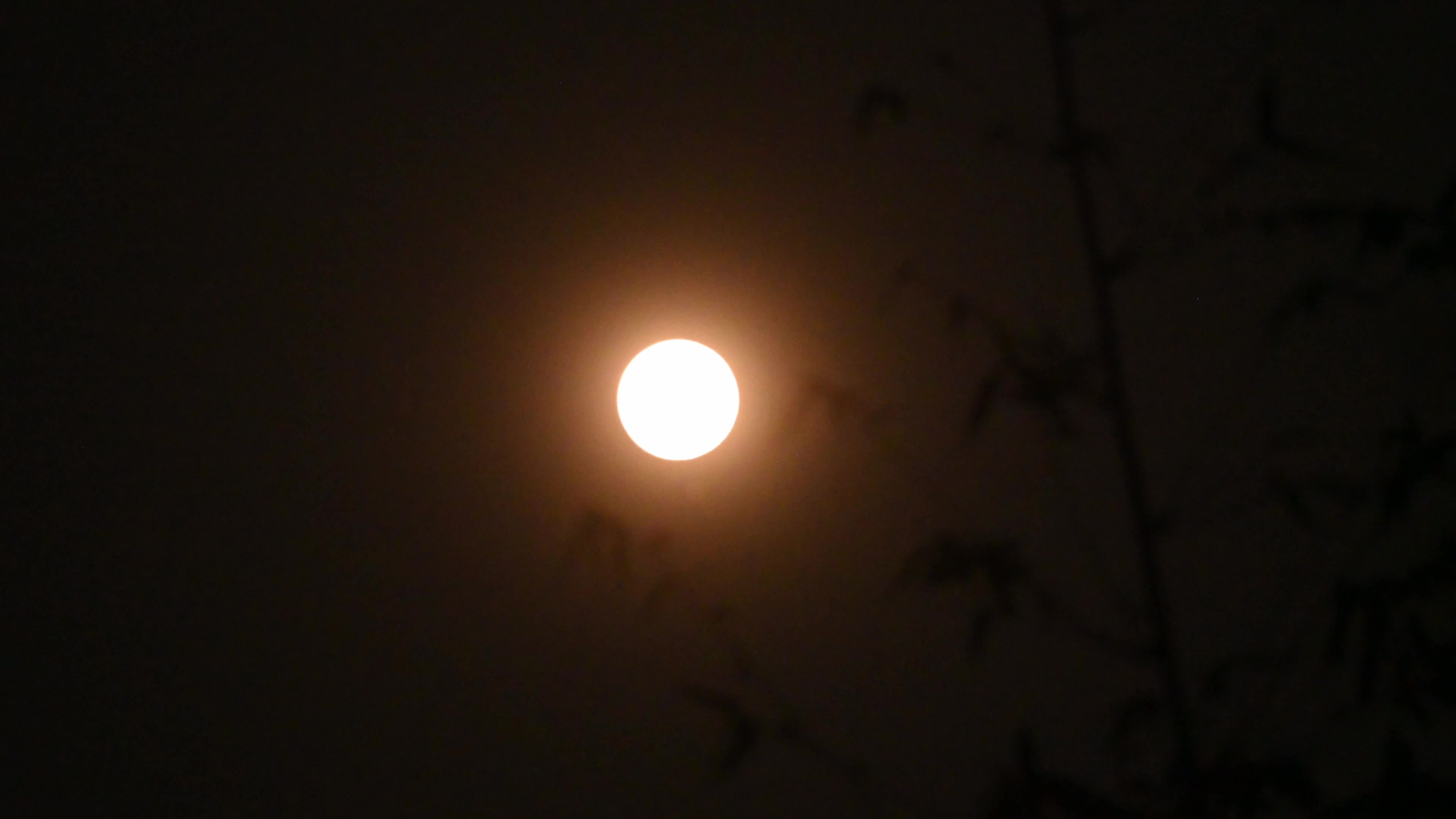 The Final Supermoon Of 2025 - Cold Moon - Lunar event 
