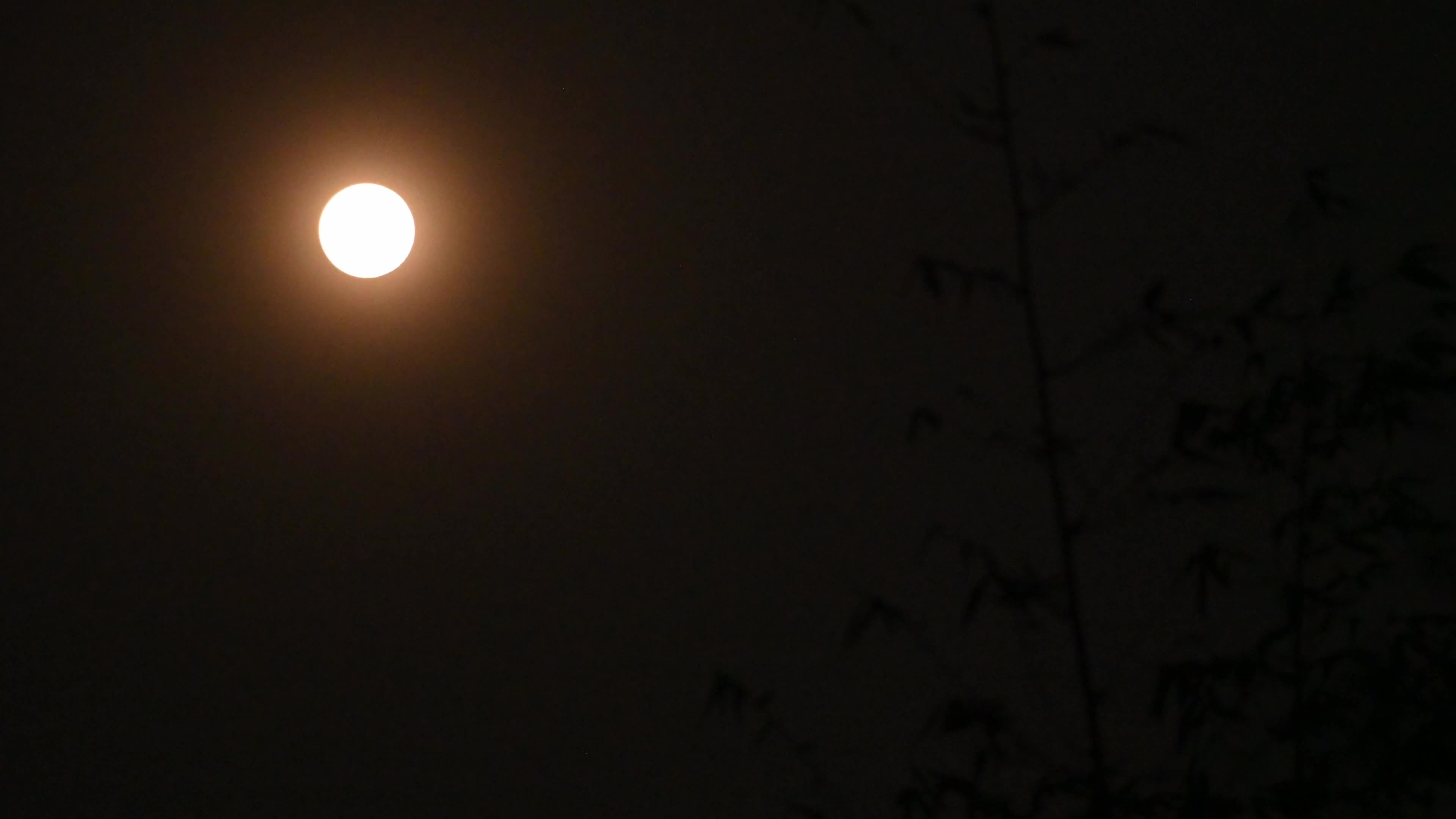 The Final Supermoon Of 2025 - Cold Moon - Lunar event 