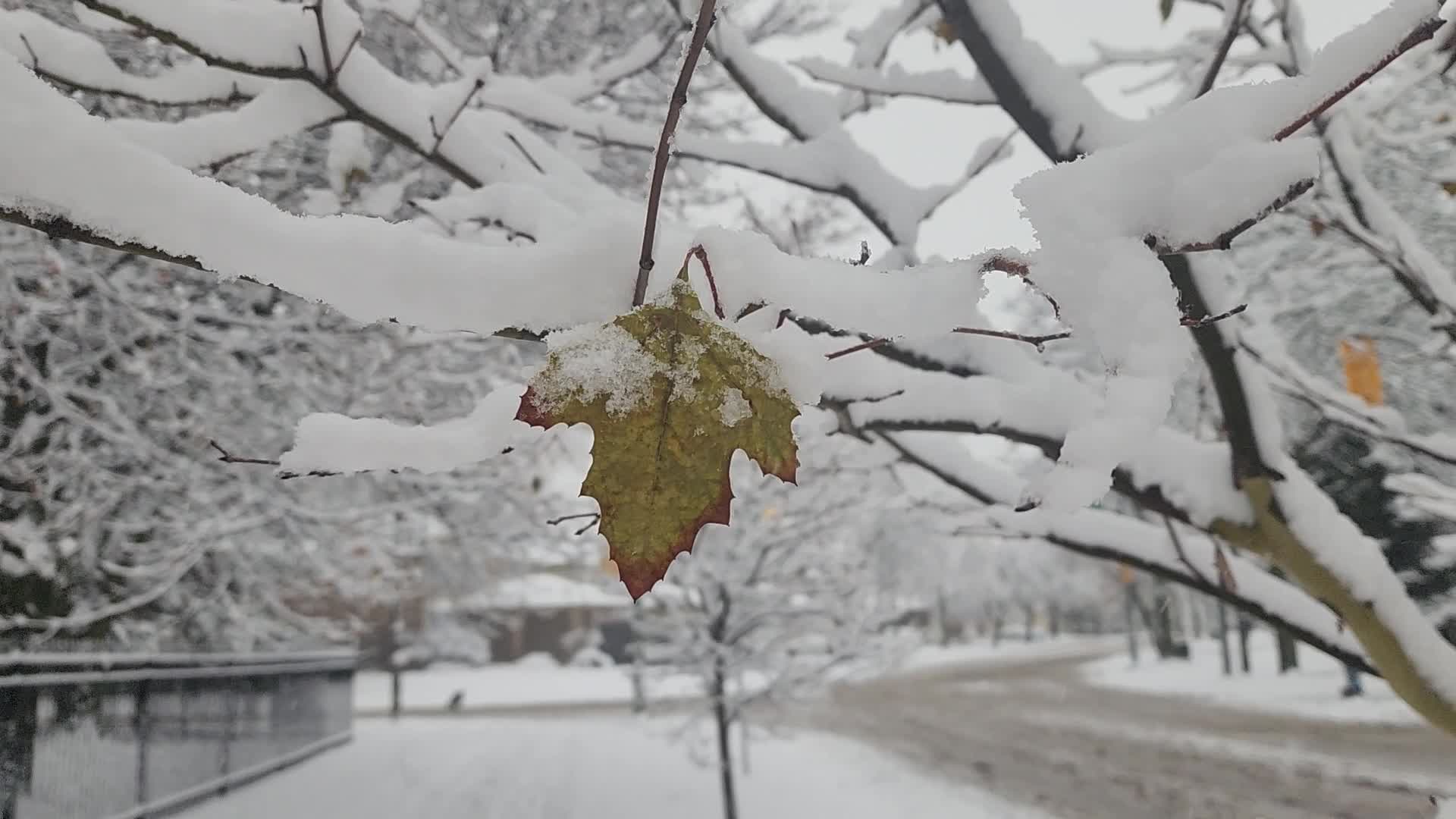 Two back-to-back snowstorms hit Toronto, Canada