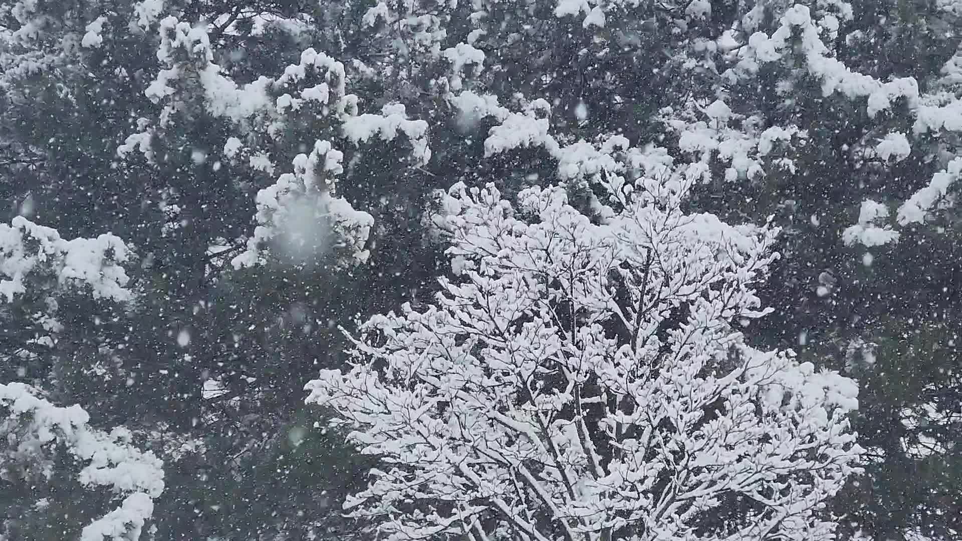 Two back-to-back snowstorms hit Toronto, Canada
