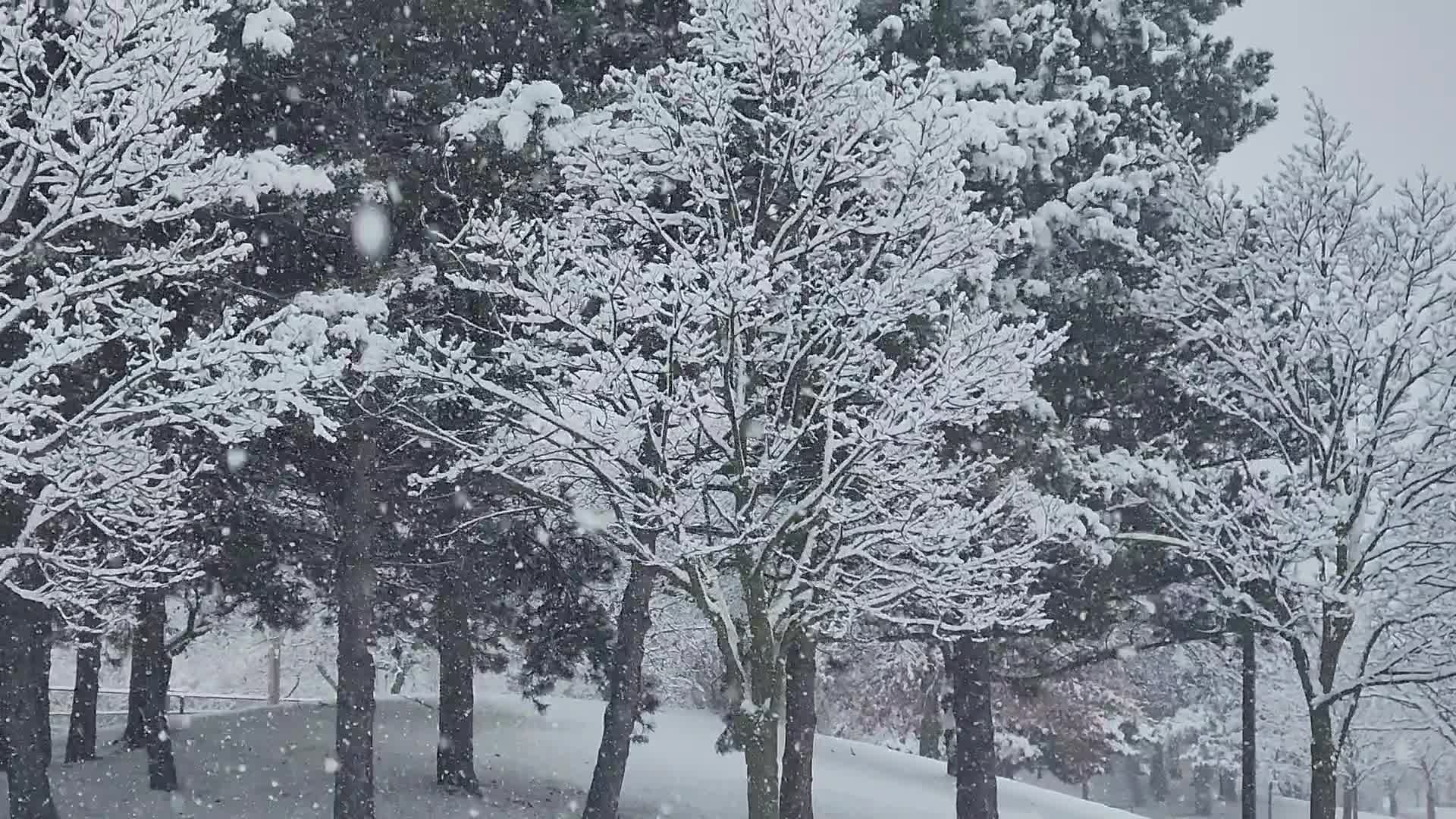 Two back-to-back snowstorms hit Toronto, Canada