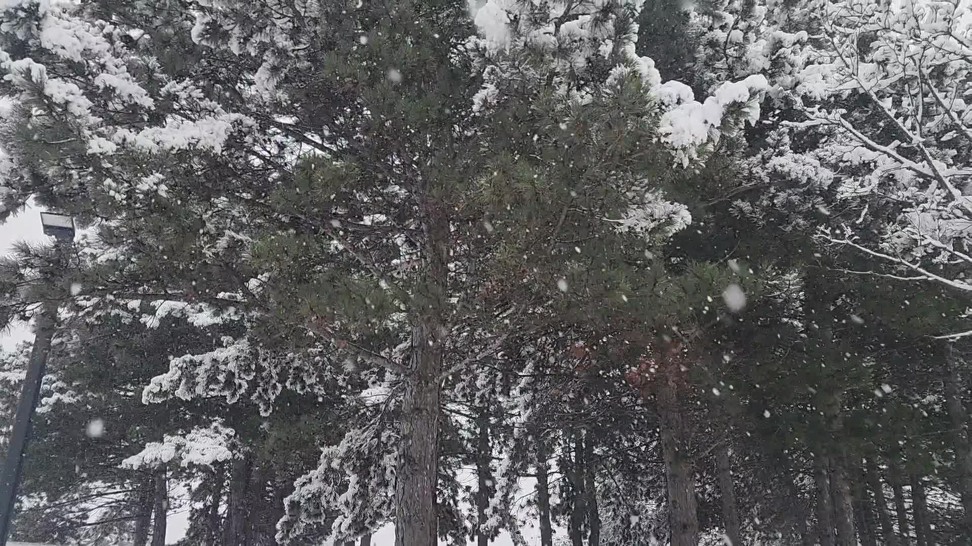 Two back-to-back snowstorms hit Toronto, Canada