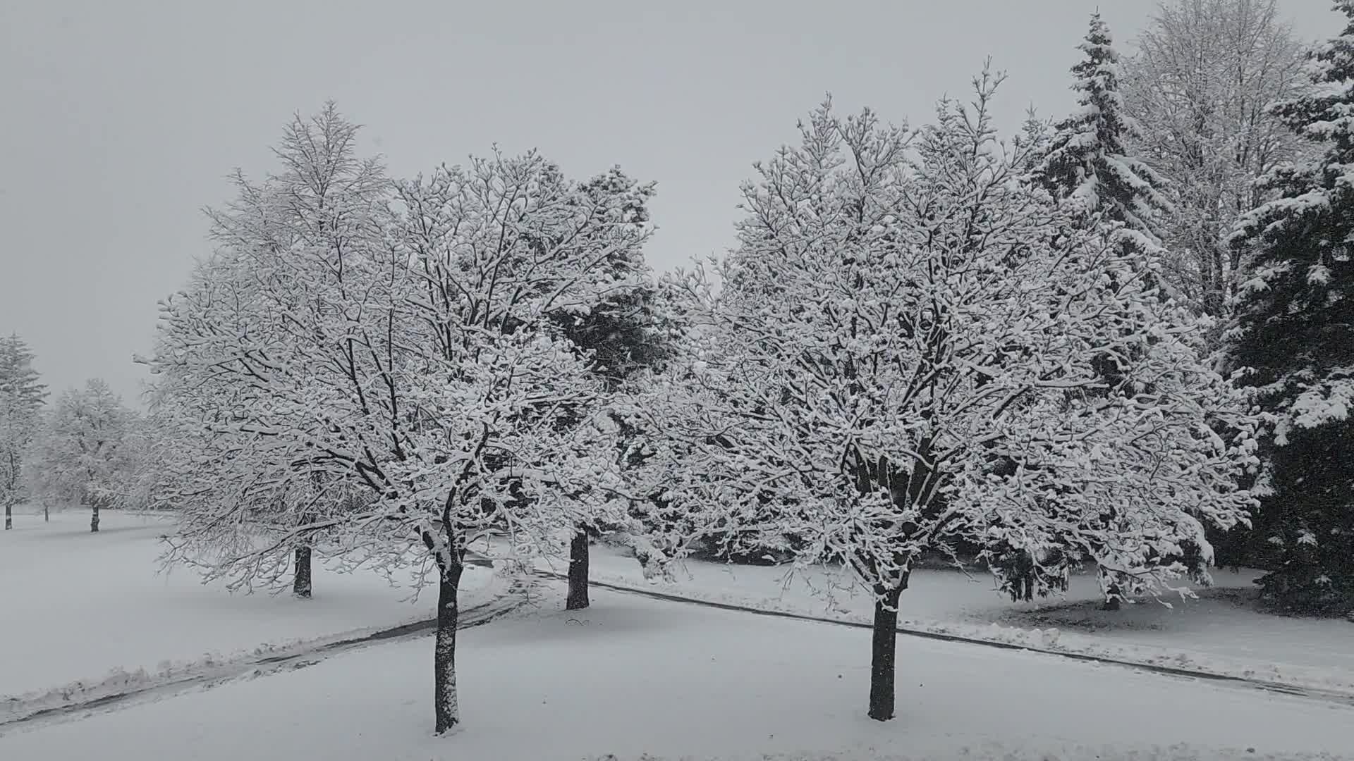 Two back-to-back snowstorms hit Toronto, Canada