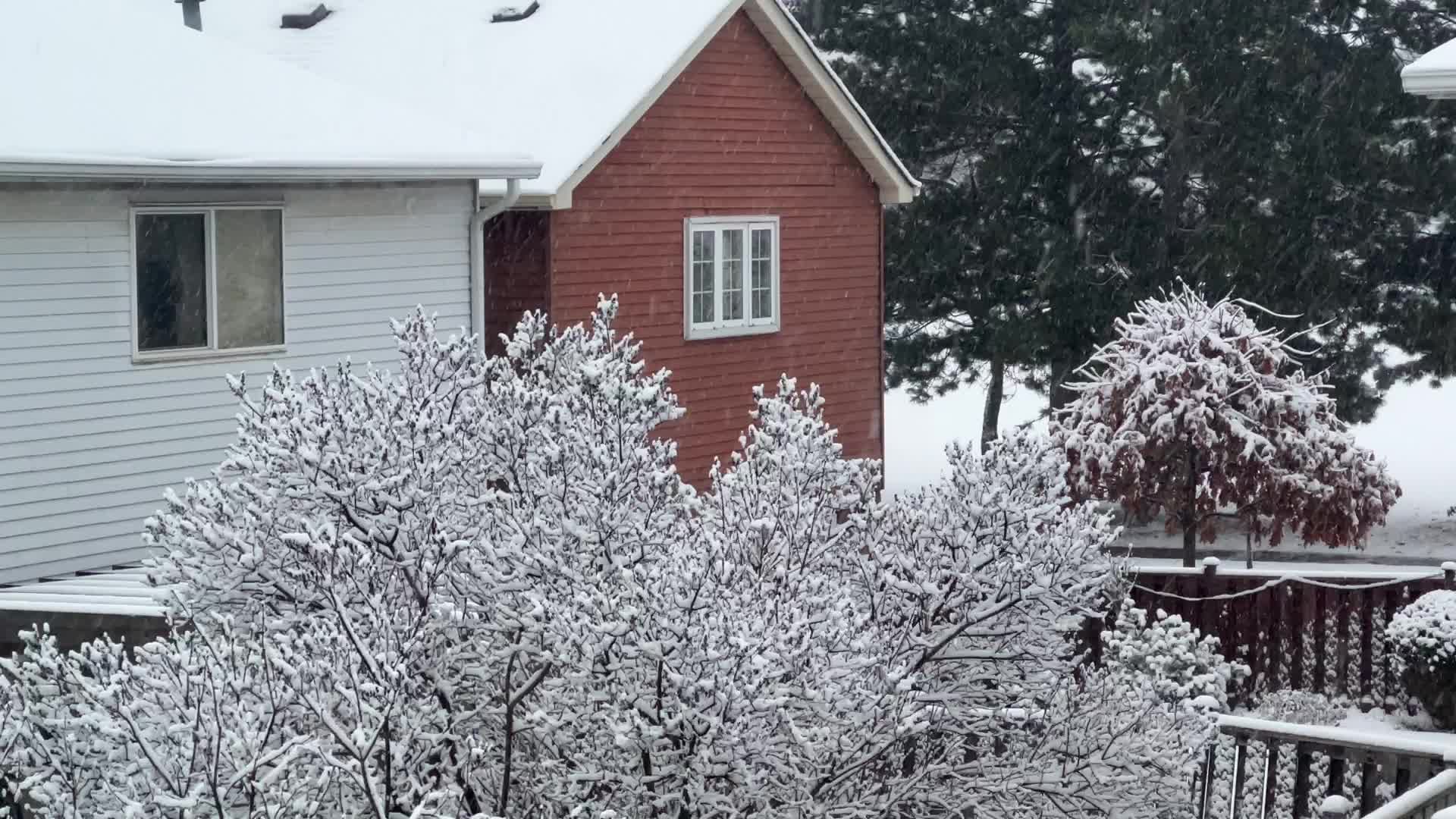 Two back-to-back snowstorms hit Toronto, Canada