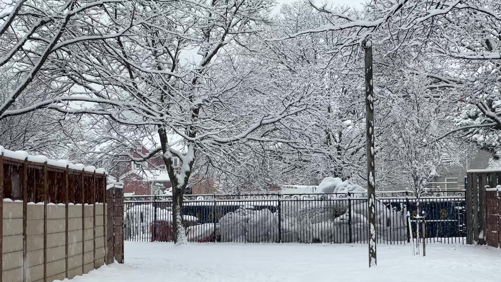 Two back-to-back snowstorms hit Toronto, Canada