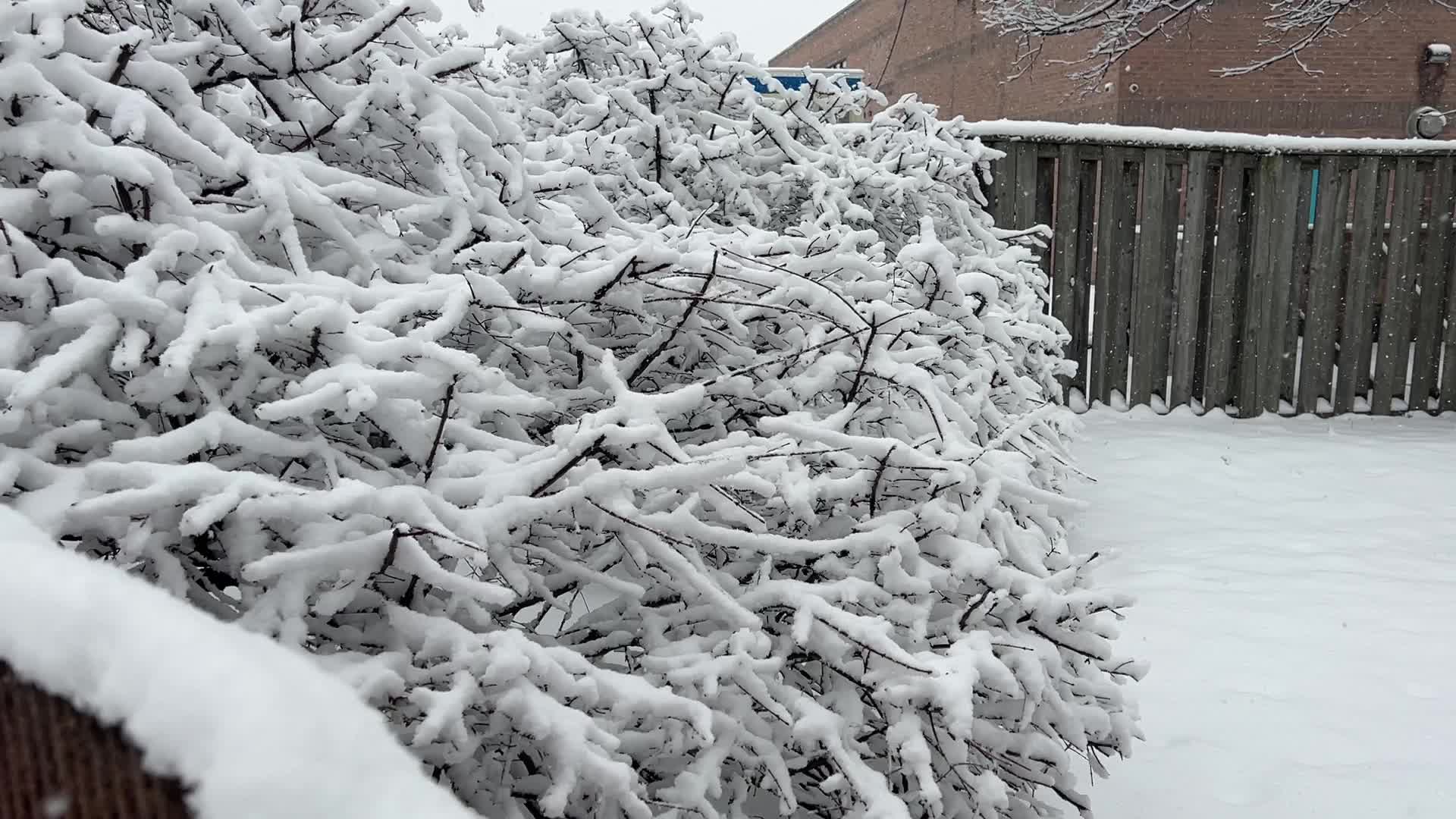 Two back-to-back snowstorms hit Toronto, Canada