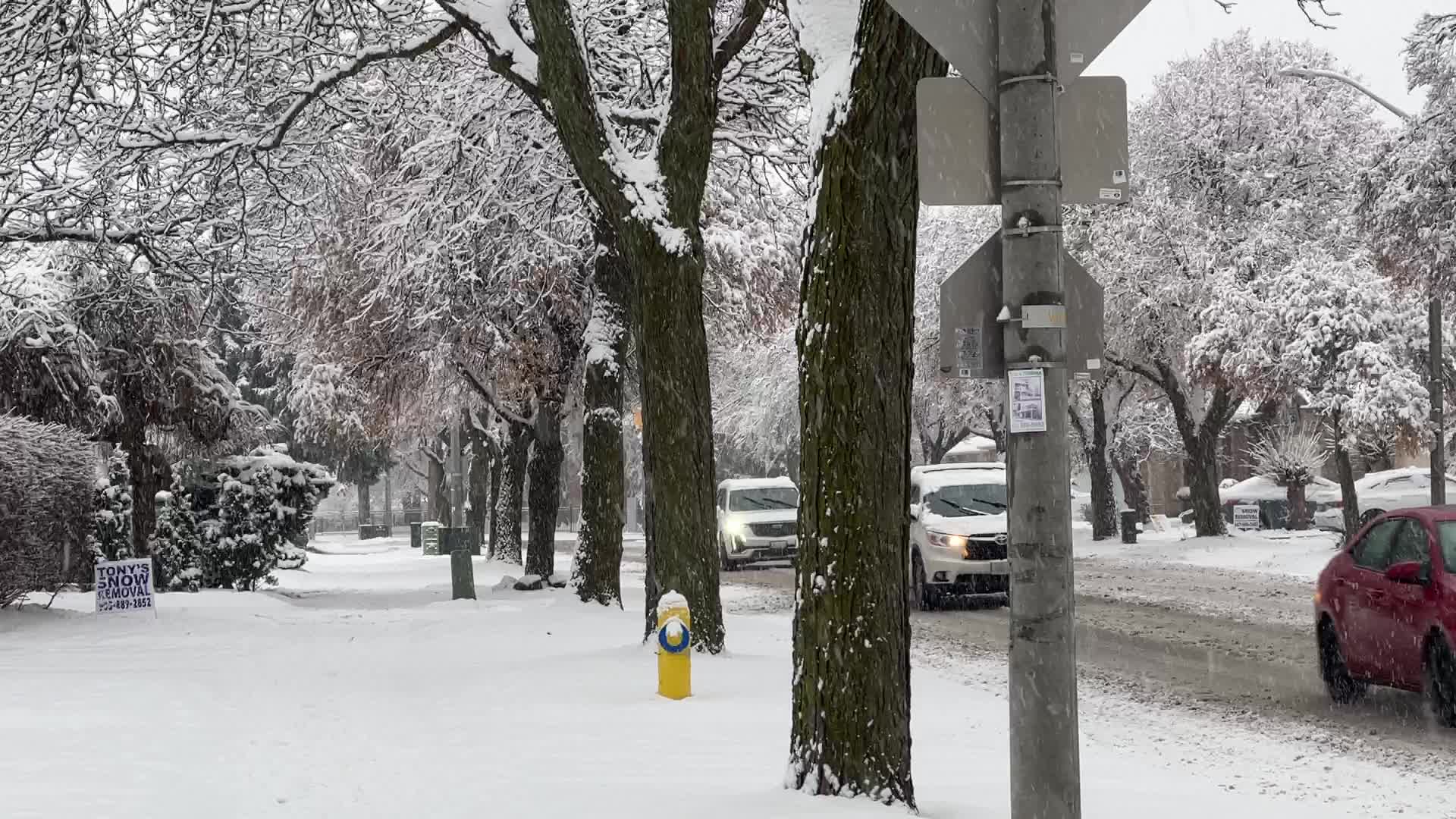 Two back-to-back snowstorms hit Toronto, Canada