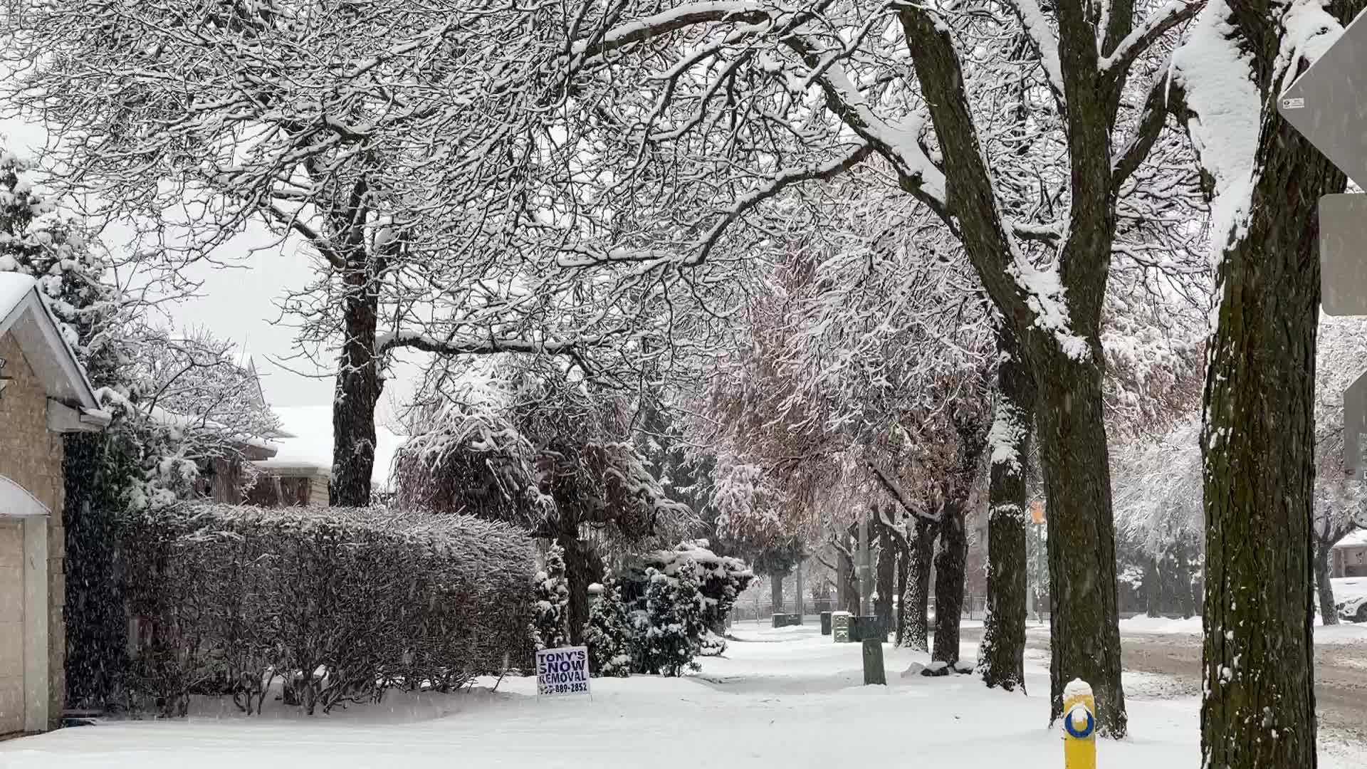 Two back-to-back snowstorms hit Toronto, Canada