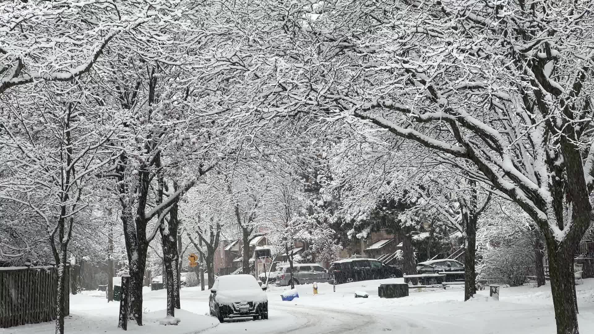 Two back-to-back snowstorms hit Toronto, Canada