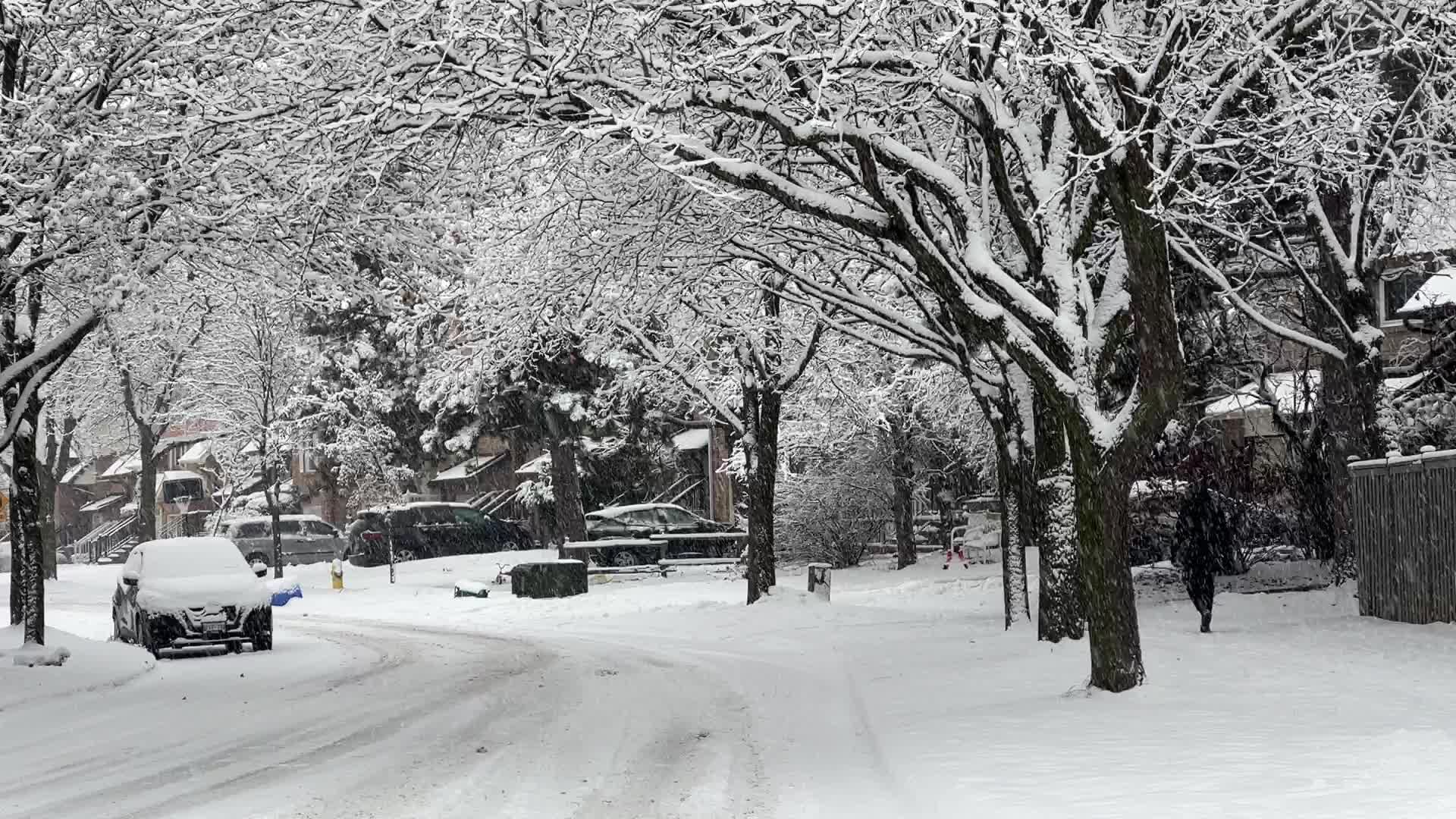 Two back-to-back snowstorms hit Toronto, Canada