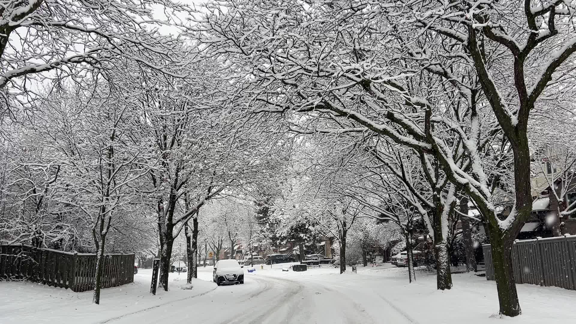 Two back-to-back snowstorms hit Toronto, Canada