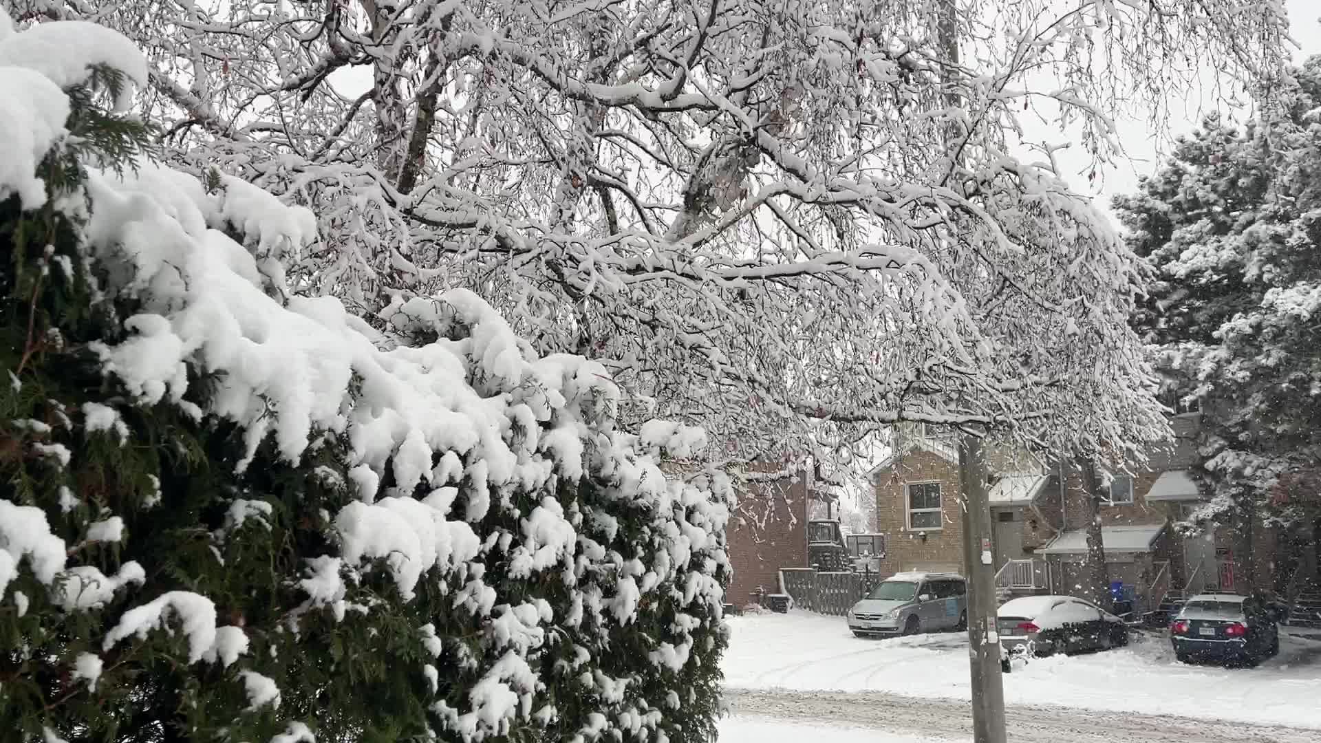 Two back-to-back snowstorms hit Toronto, Canada