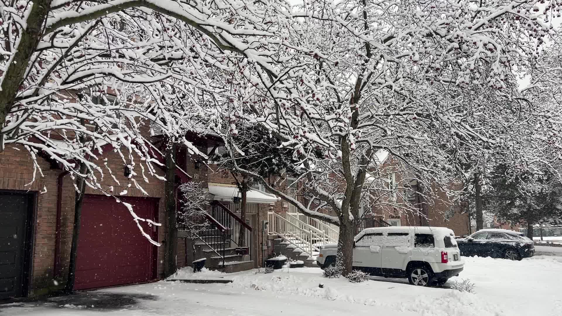 Two back-to-back snowstorms hit Toronto, Canada