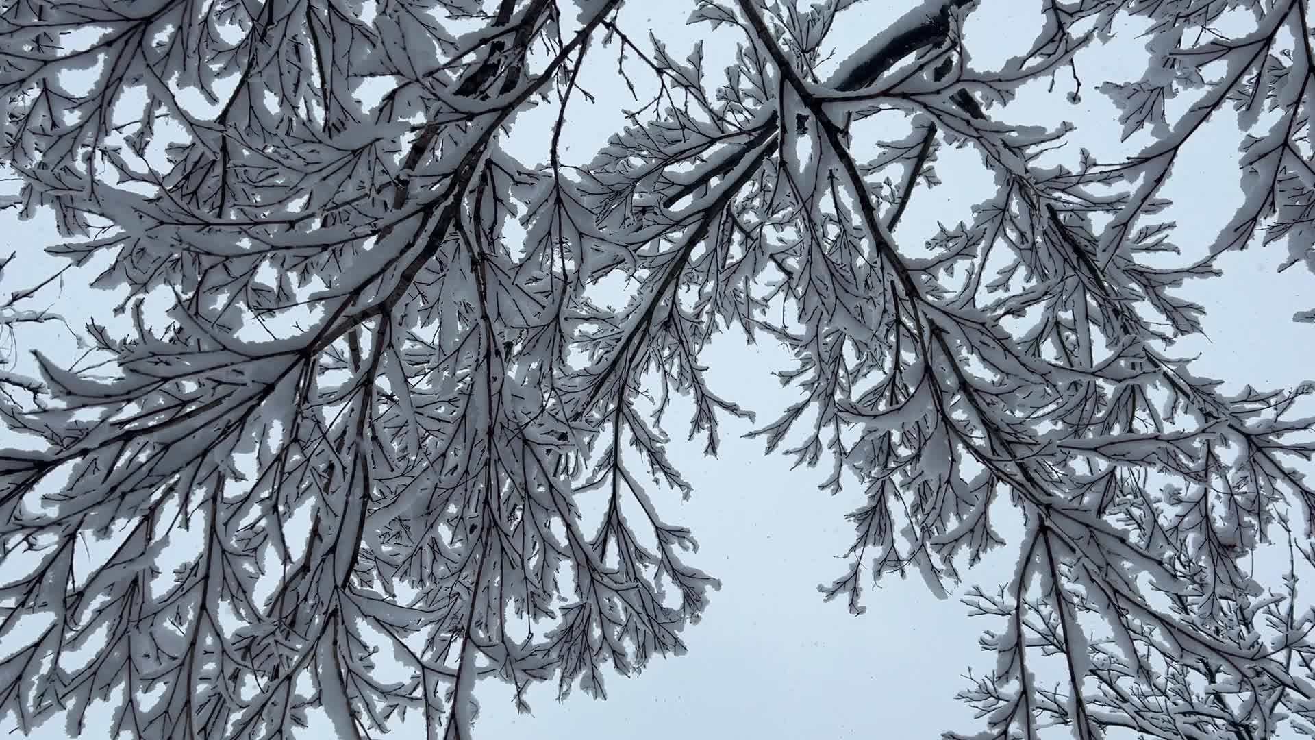 Two back-to-back snowstorms hit Toronto, Canada