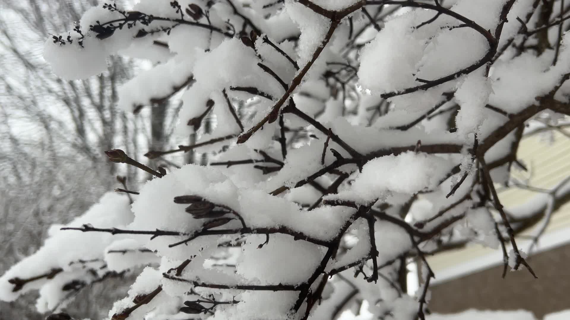Two back-to-back snowstorms hit Toronto, Canada