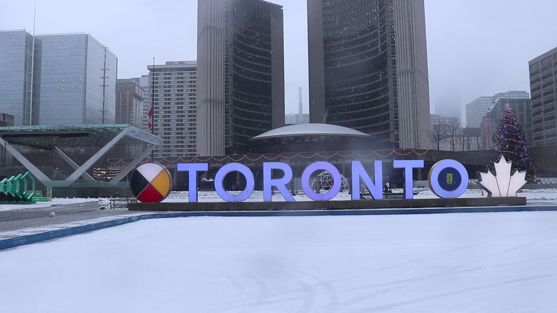 Heavy Snowfall / Toronto, Canada