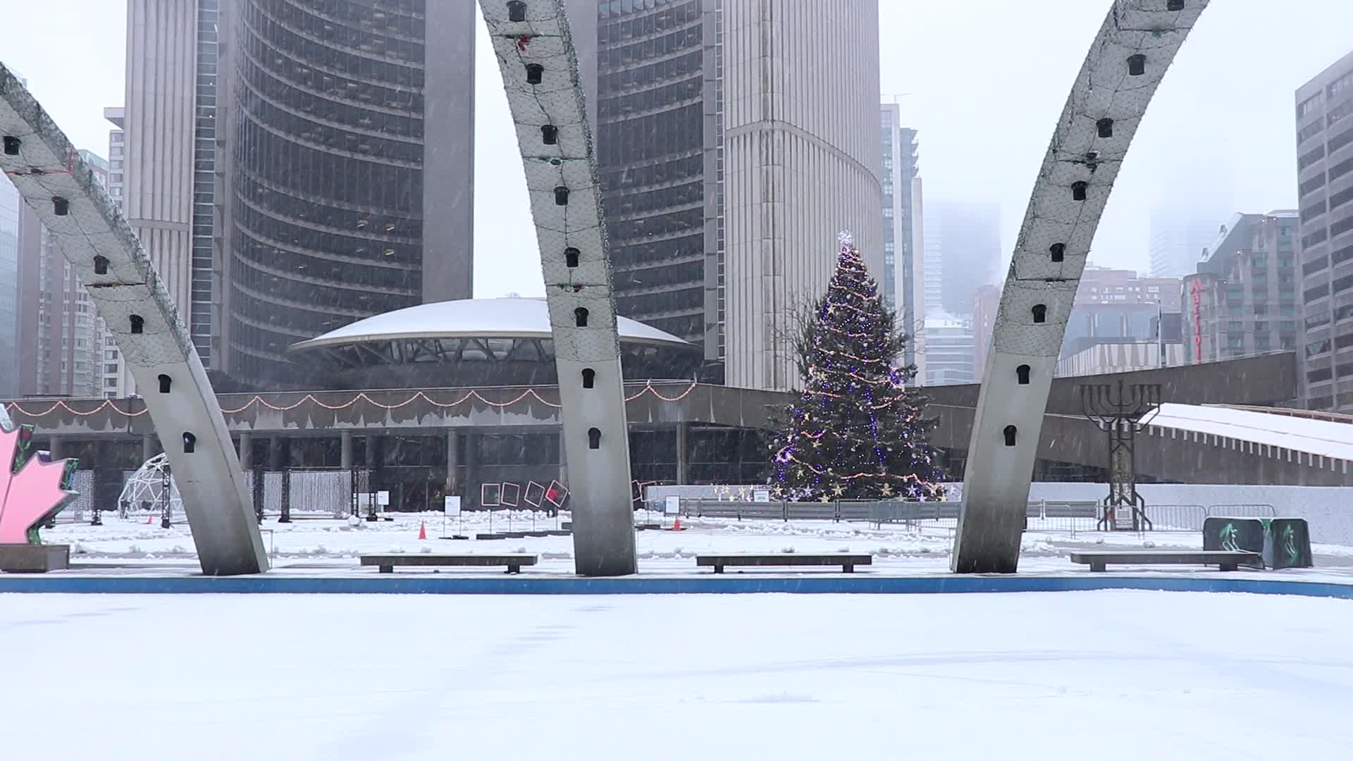 Heavy Snowfall / Toronto, Canada